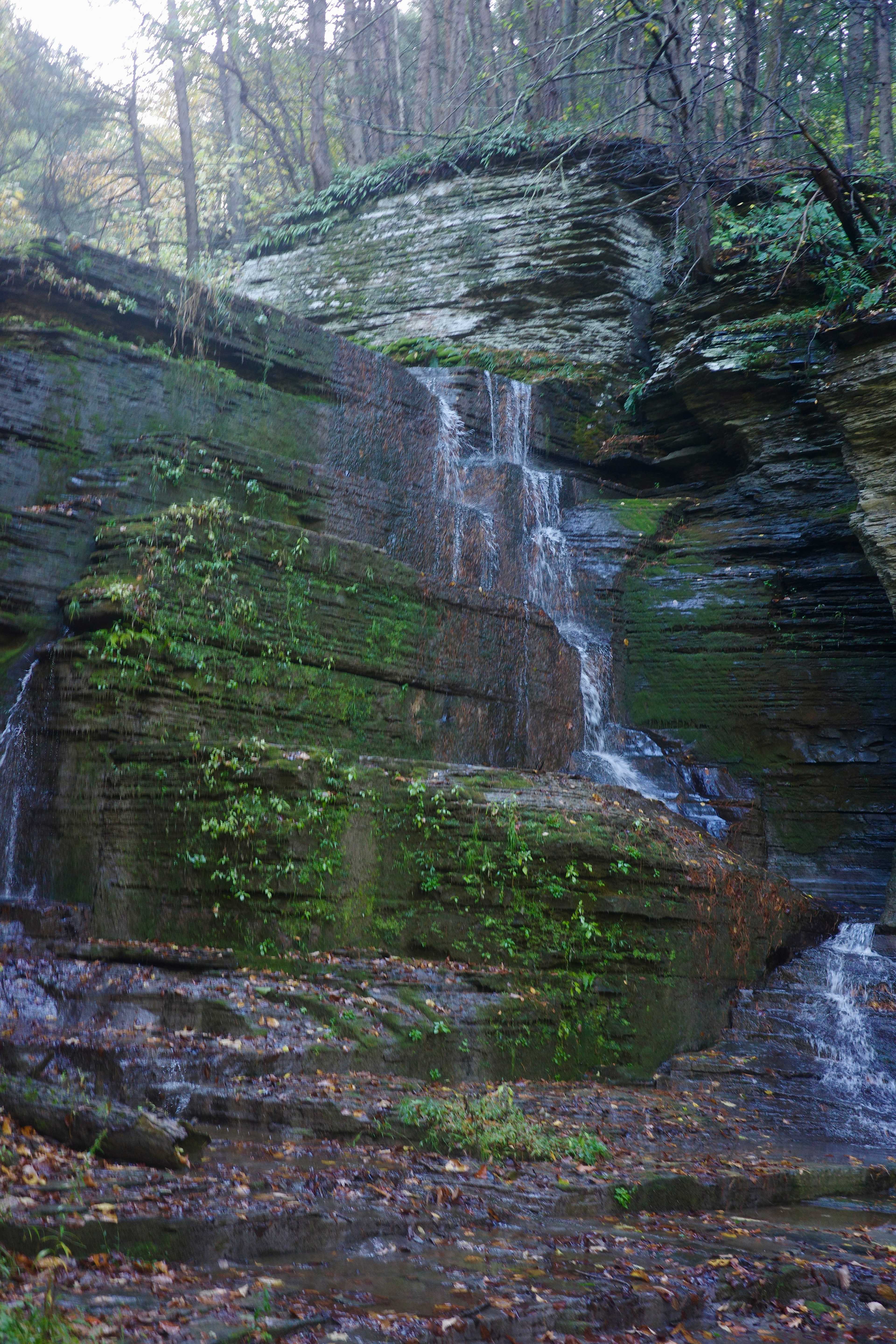 the falls, aka our shower!