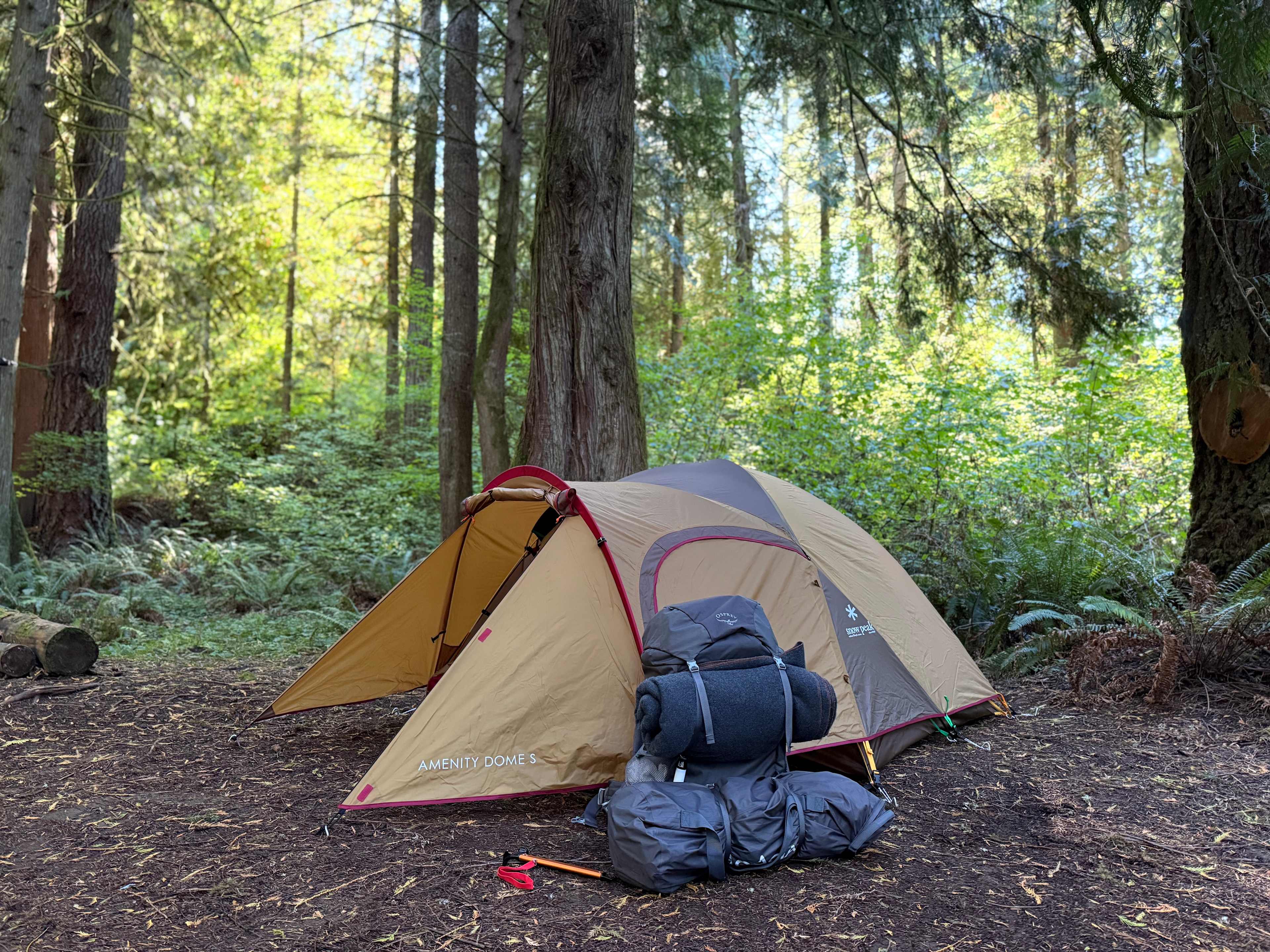 Cedar Root at Highland Butte