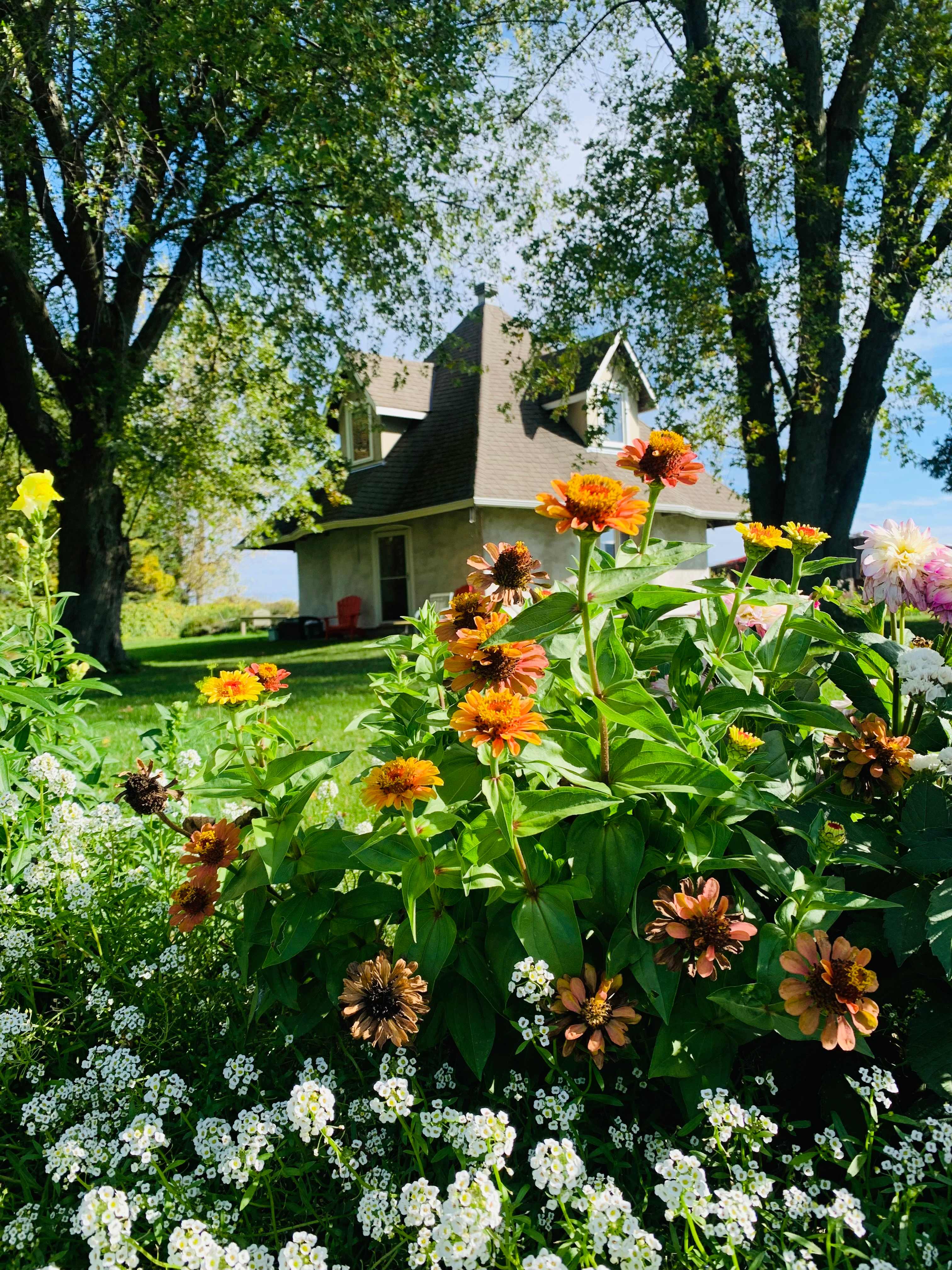 Henry built this house with clay!