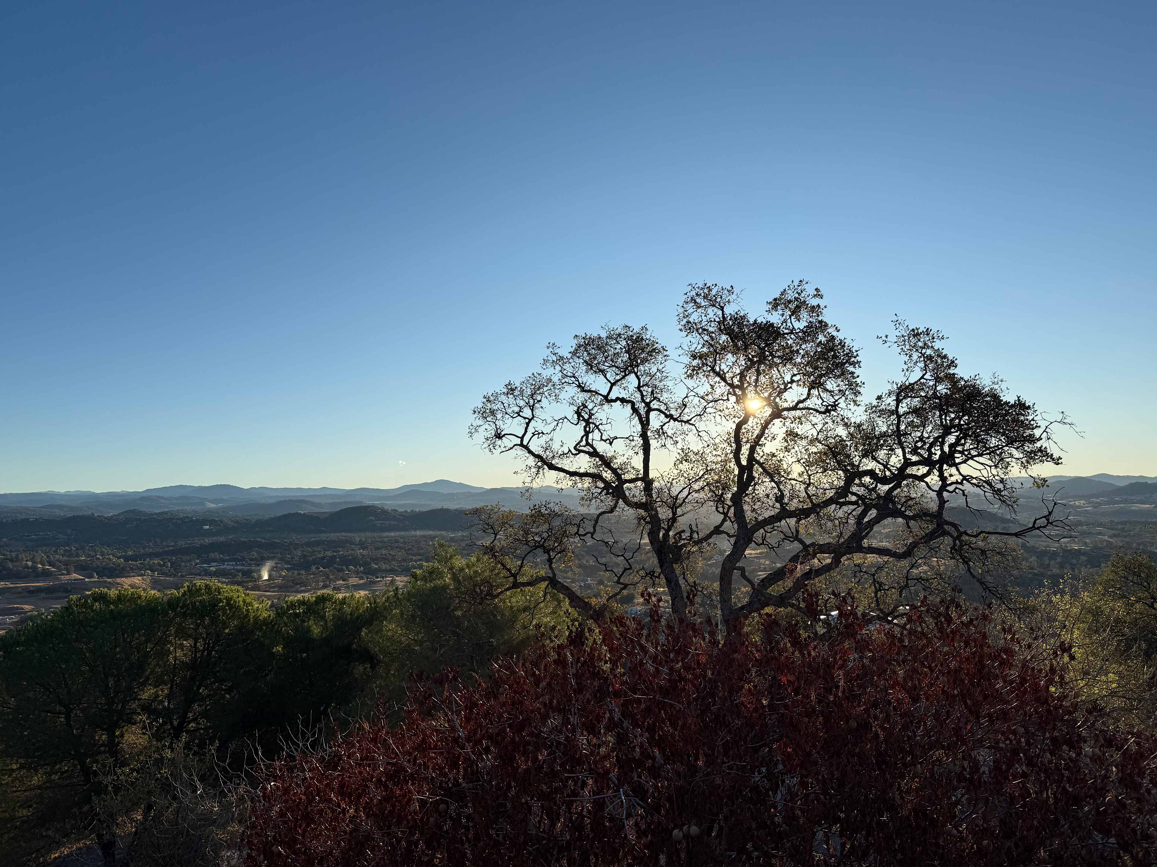 Gold Wall Ranch & Vineyard