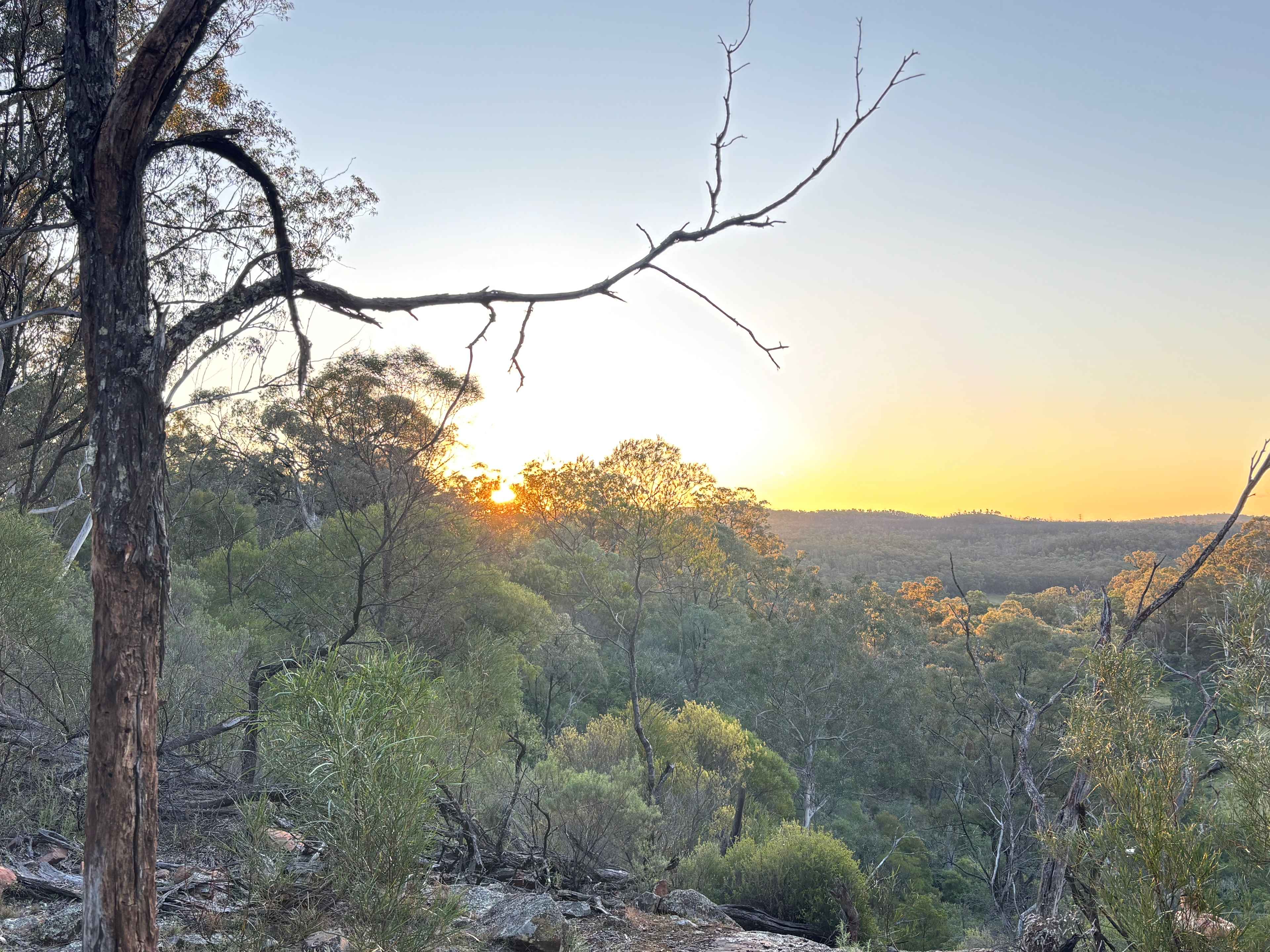 Hillside Camp on Bow River