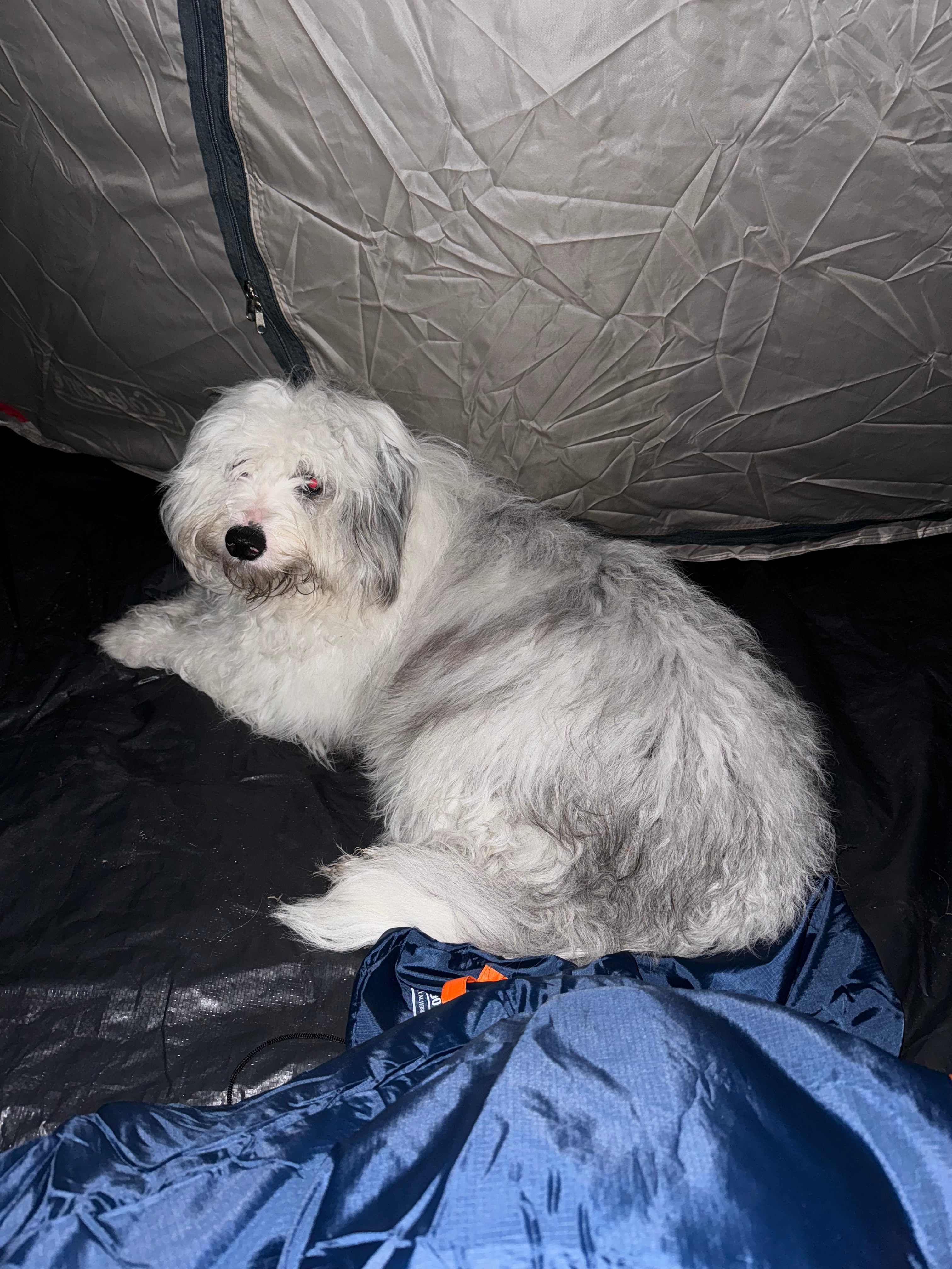 Maddara.Organic.Farm.and.Art