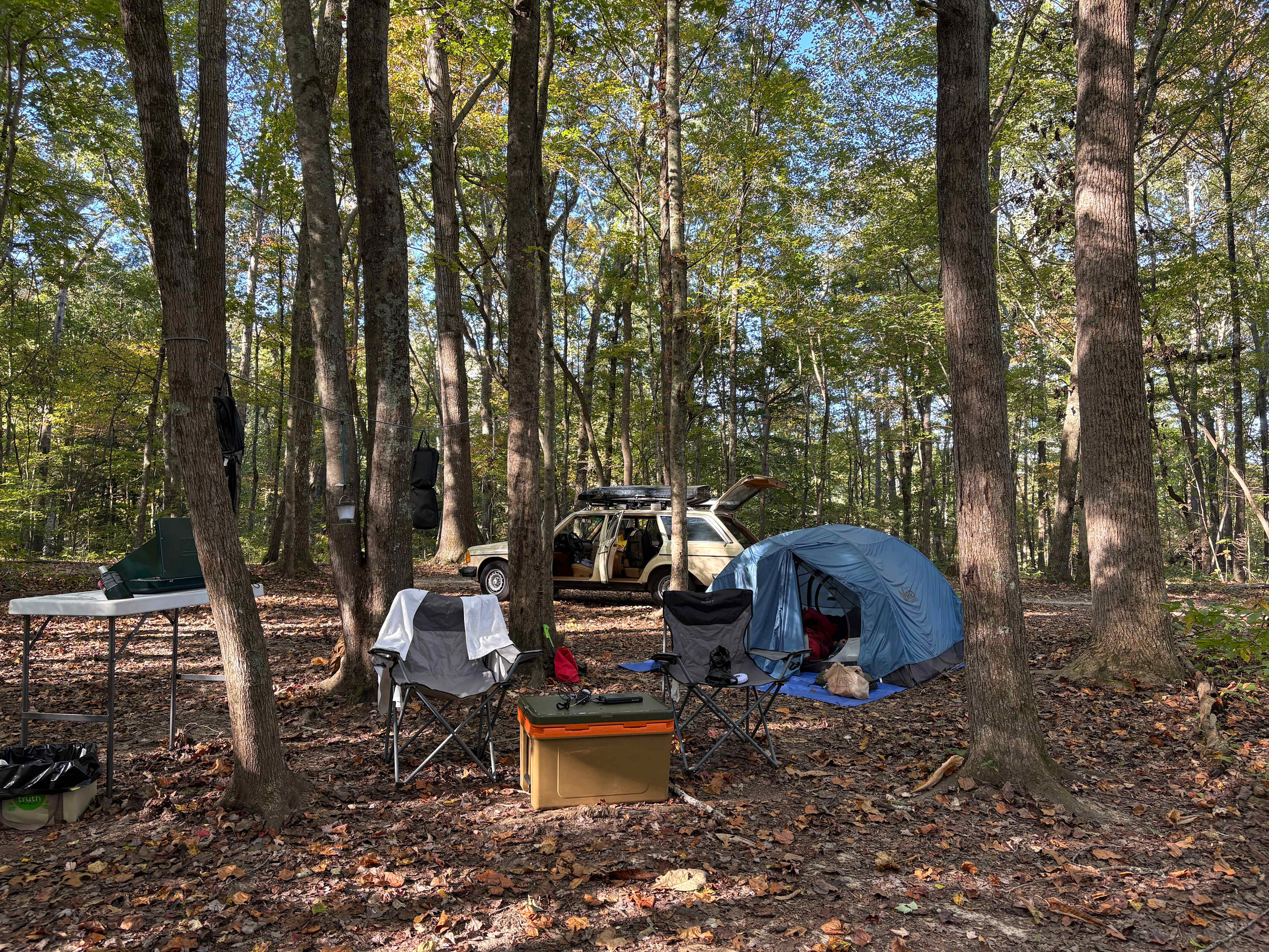 Belle and Beau Acres