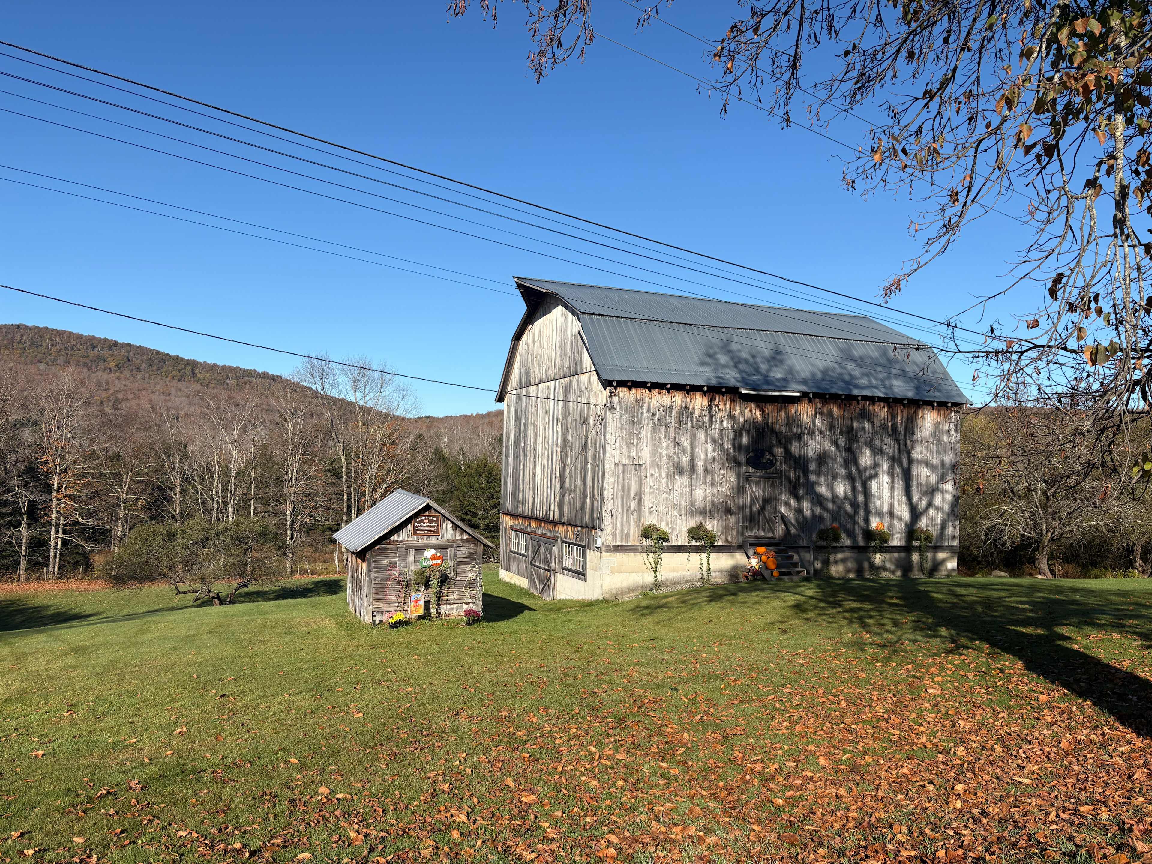 Golden Maple Farm - Camping