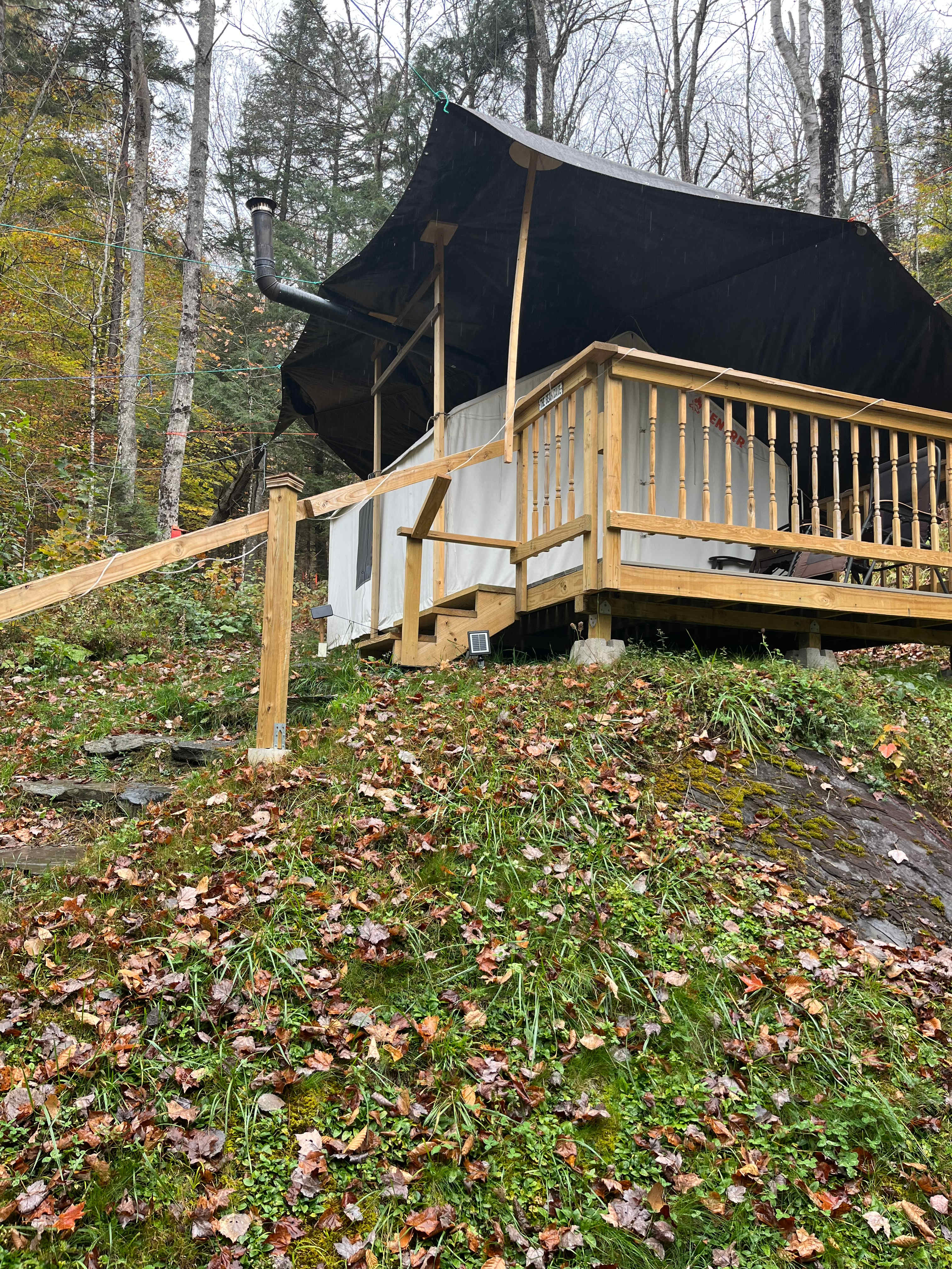 Perfect Touch Bear Cave