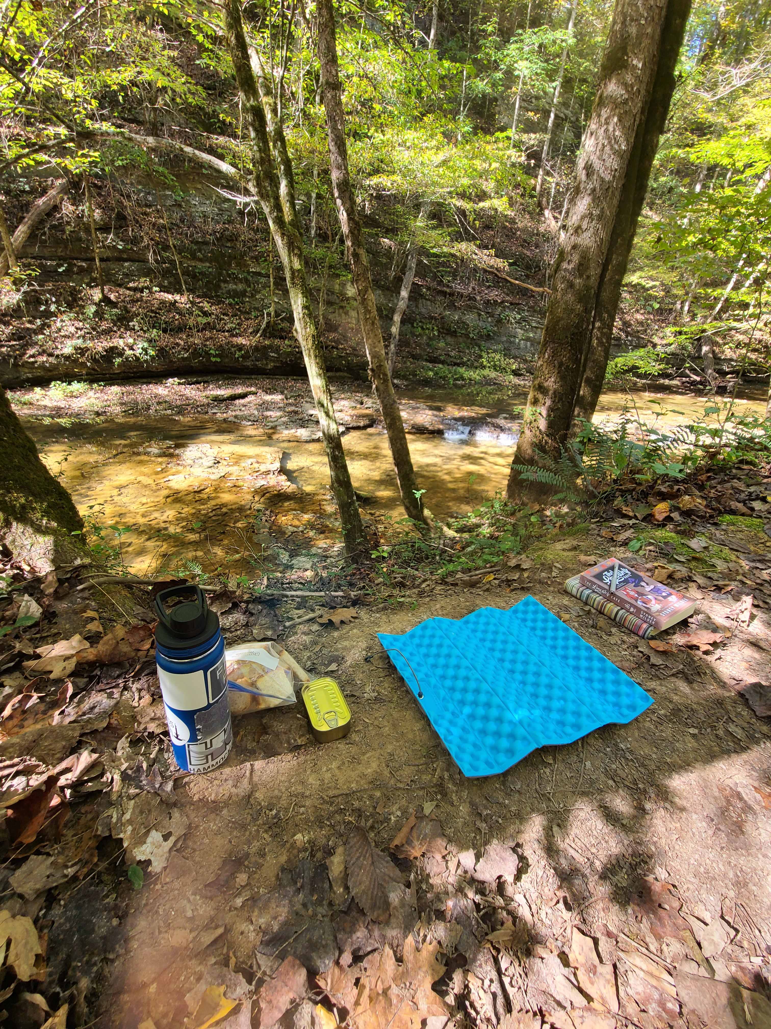 Belle and Beau Acres