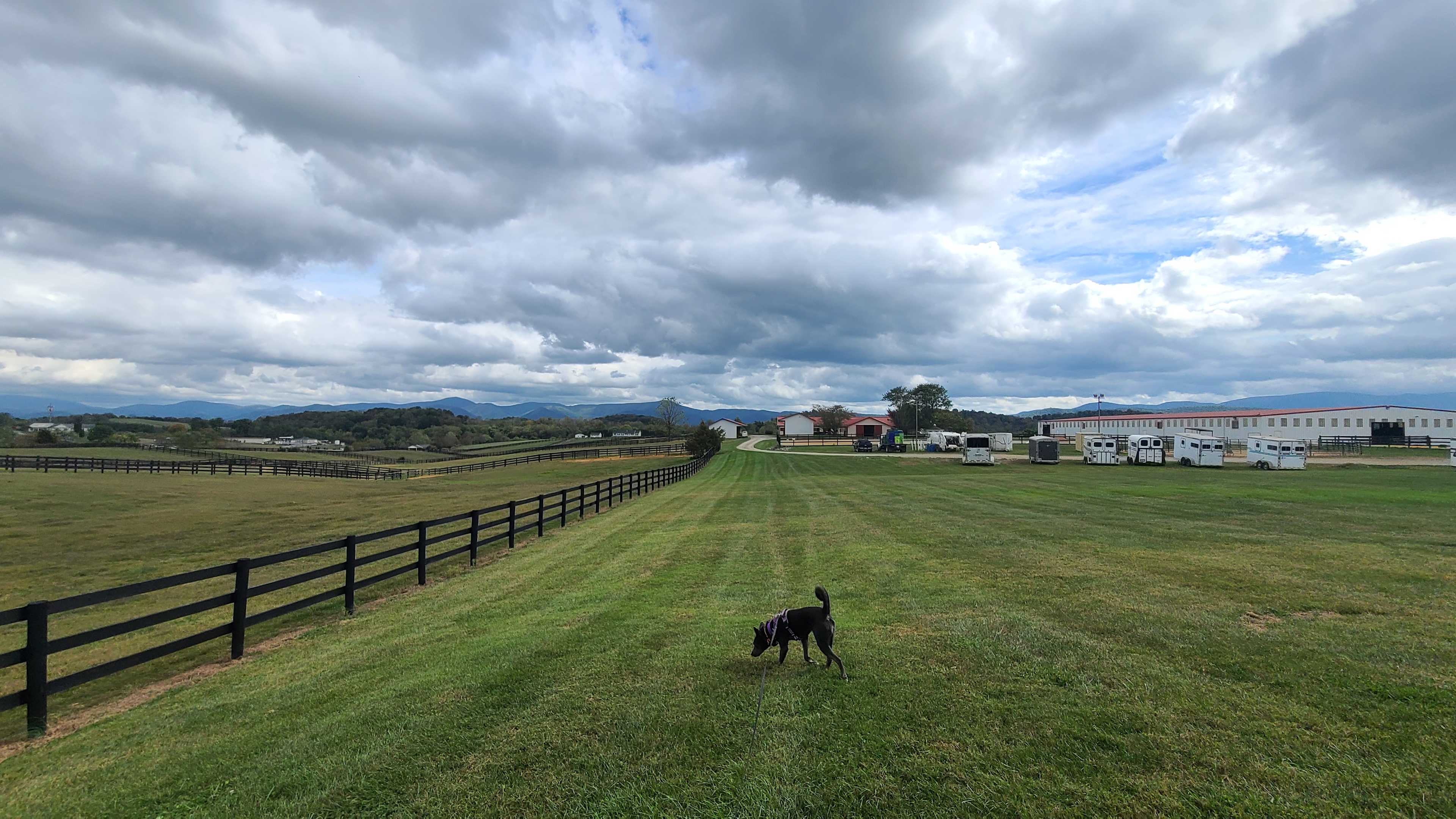 Mane Gait Equestrian Center