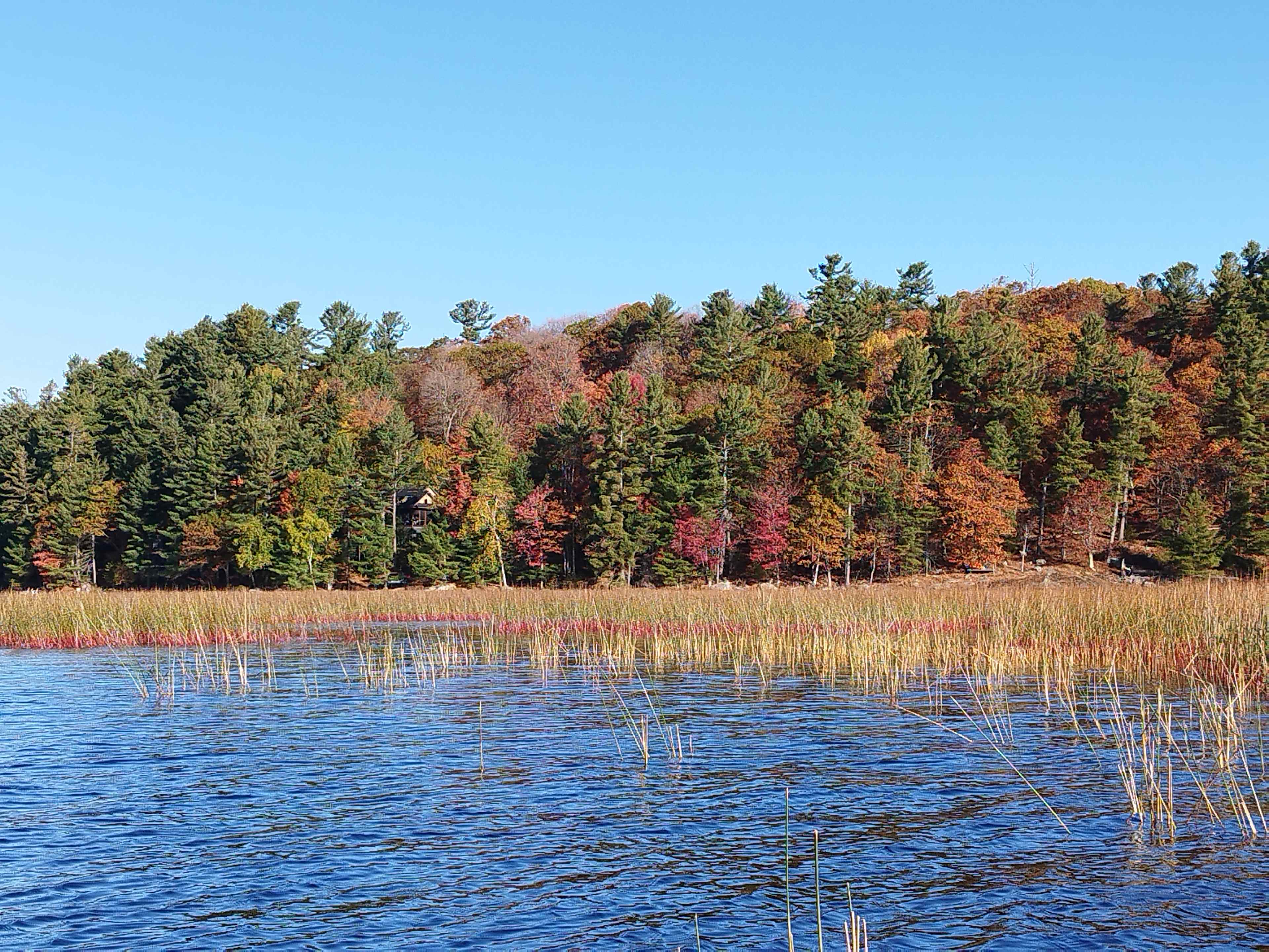 Muskoka Wellness Retreat