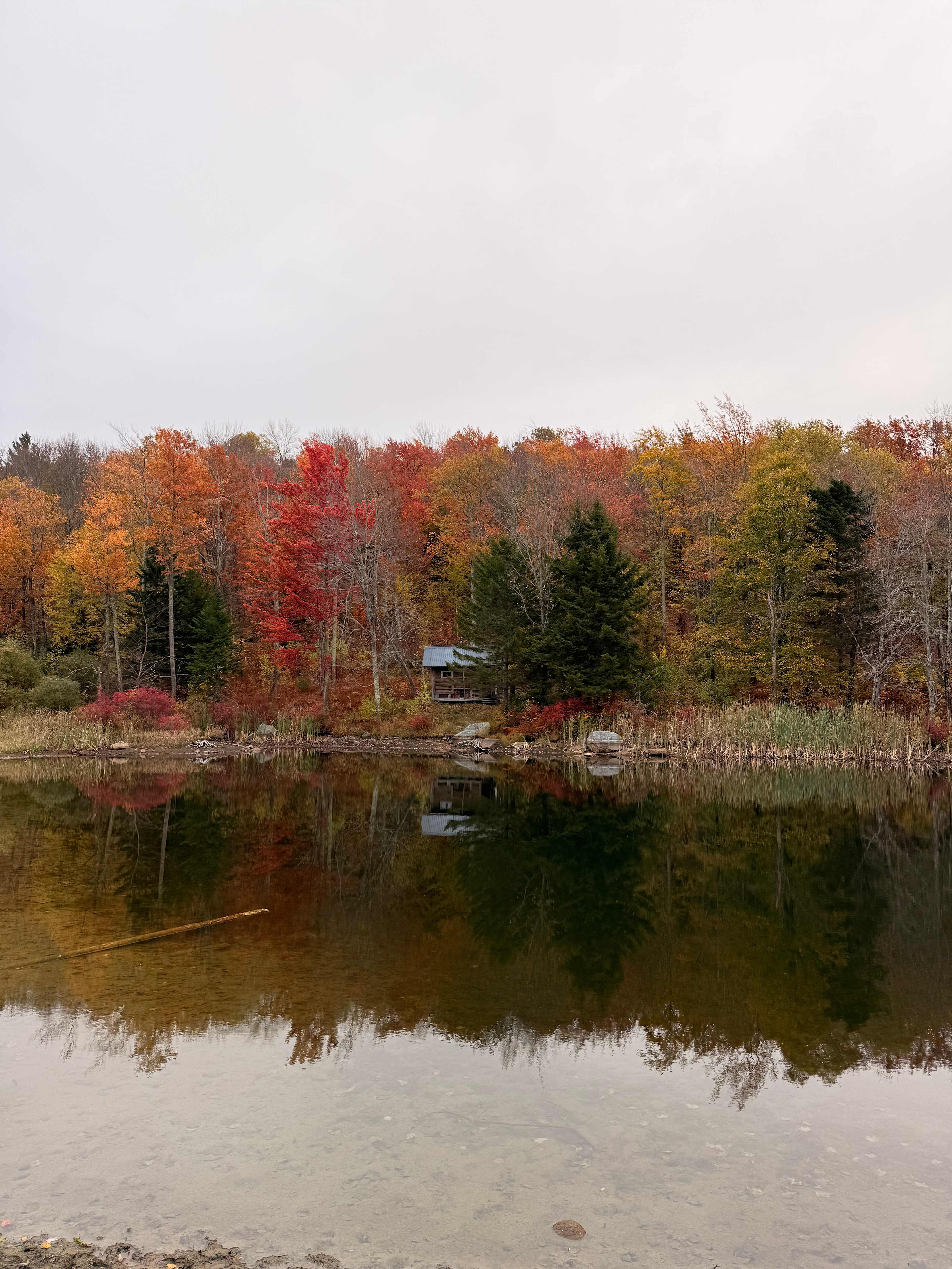 BlueberryHill  Field Camp
