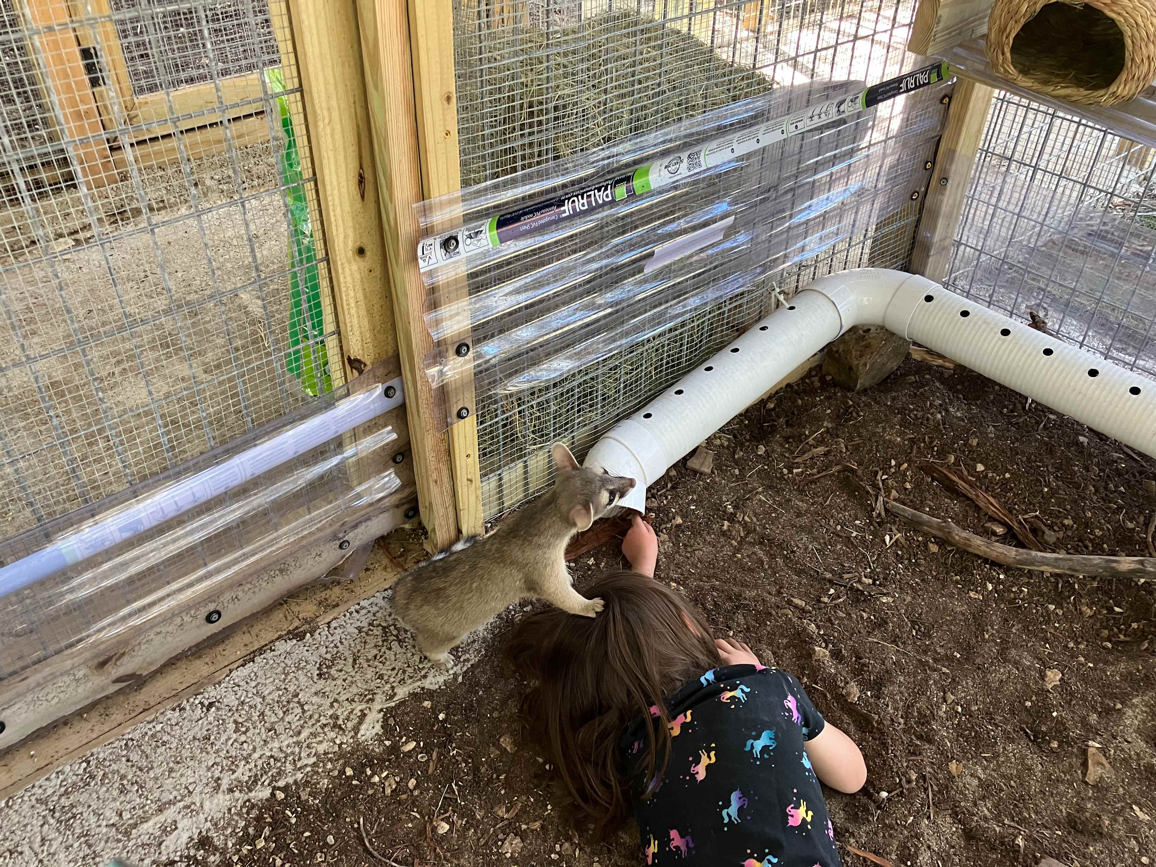 Her patience was rewarded! 