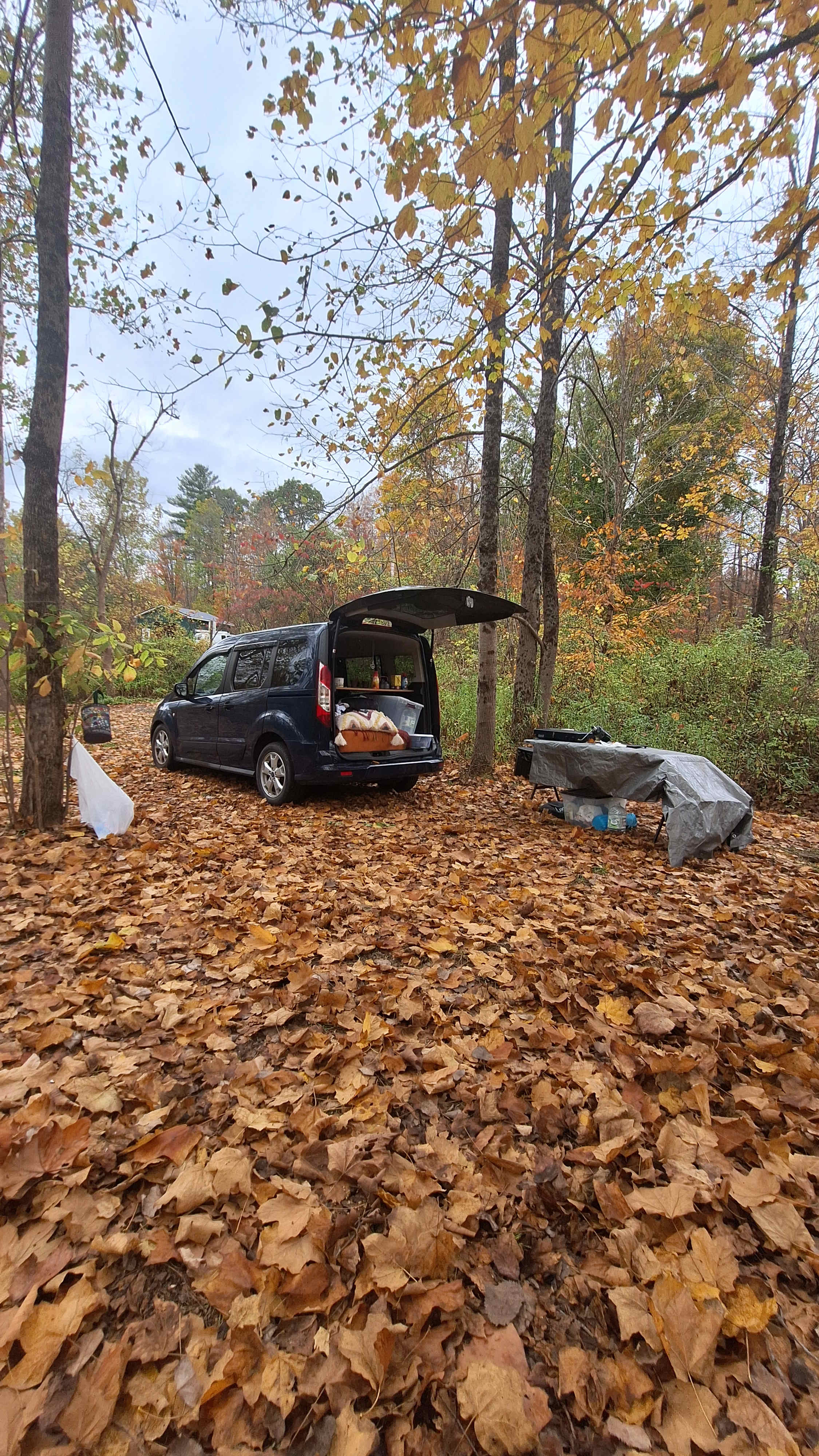 Tucked in for the night. 