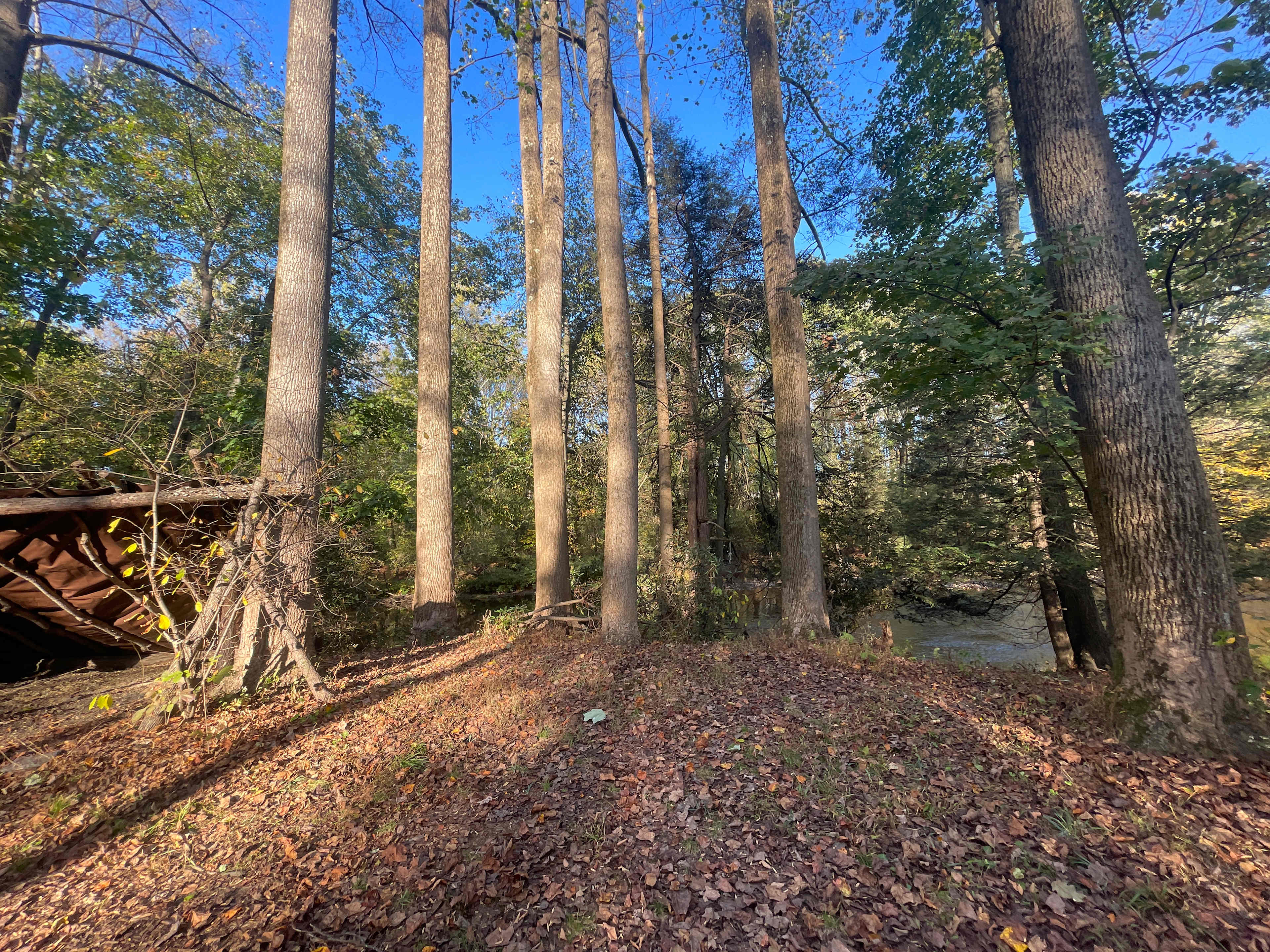 Peace & Quiet by the River!