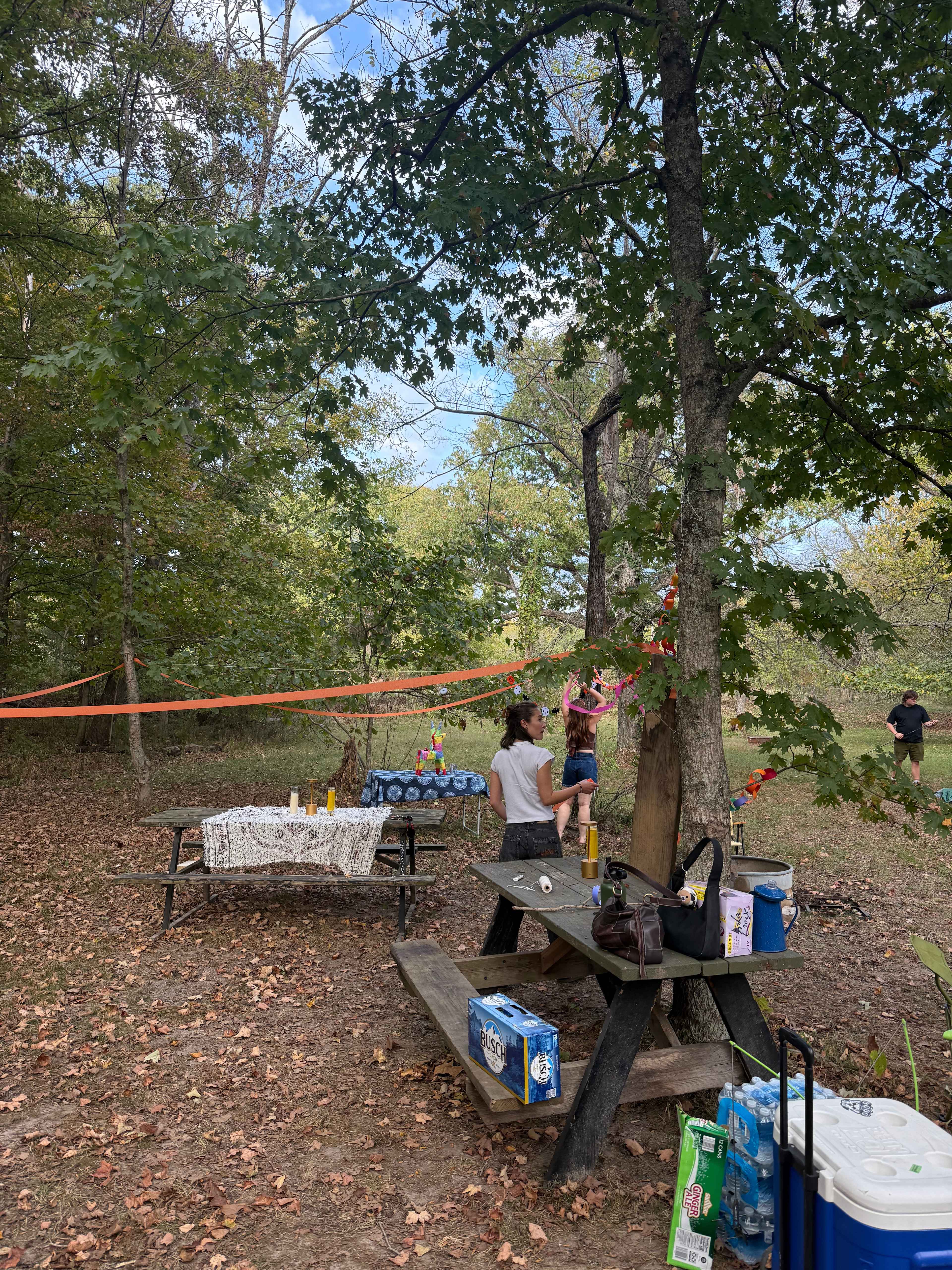 Such and Such Farm Swimming Hole