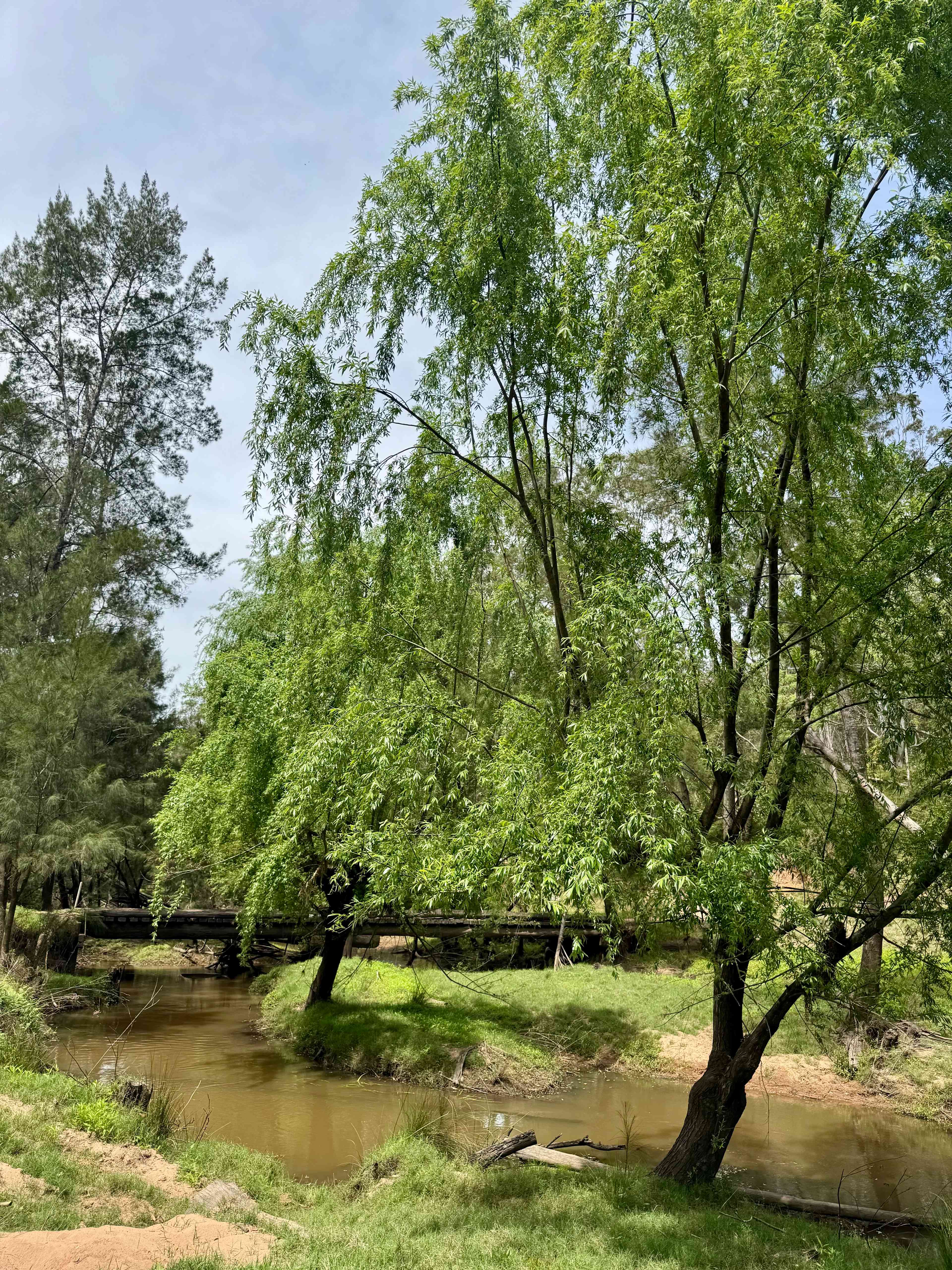 River running through property