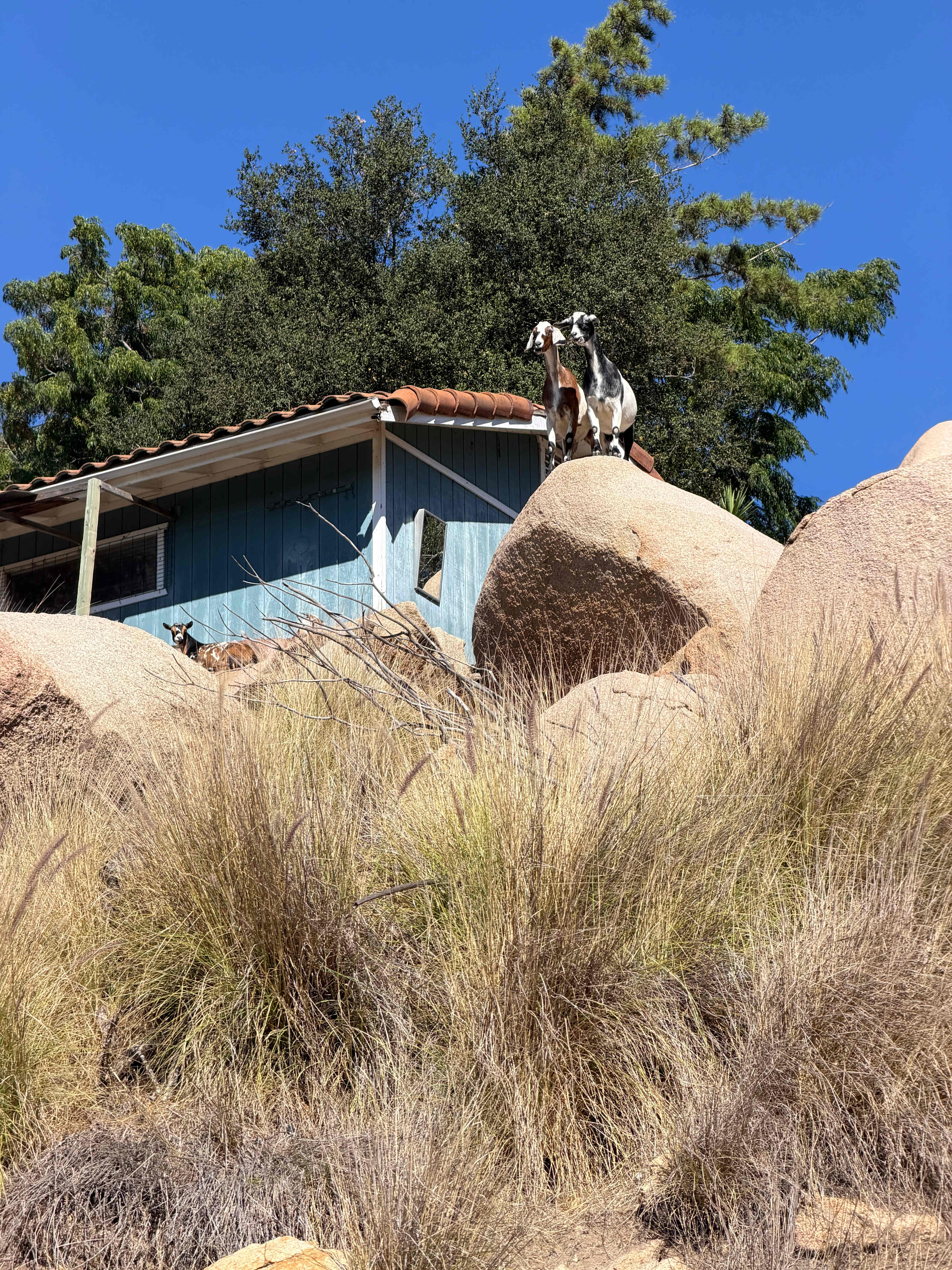 Secluded De Luz Goat Ranch