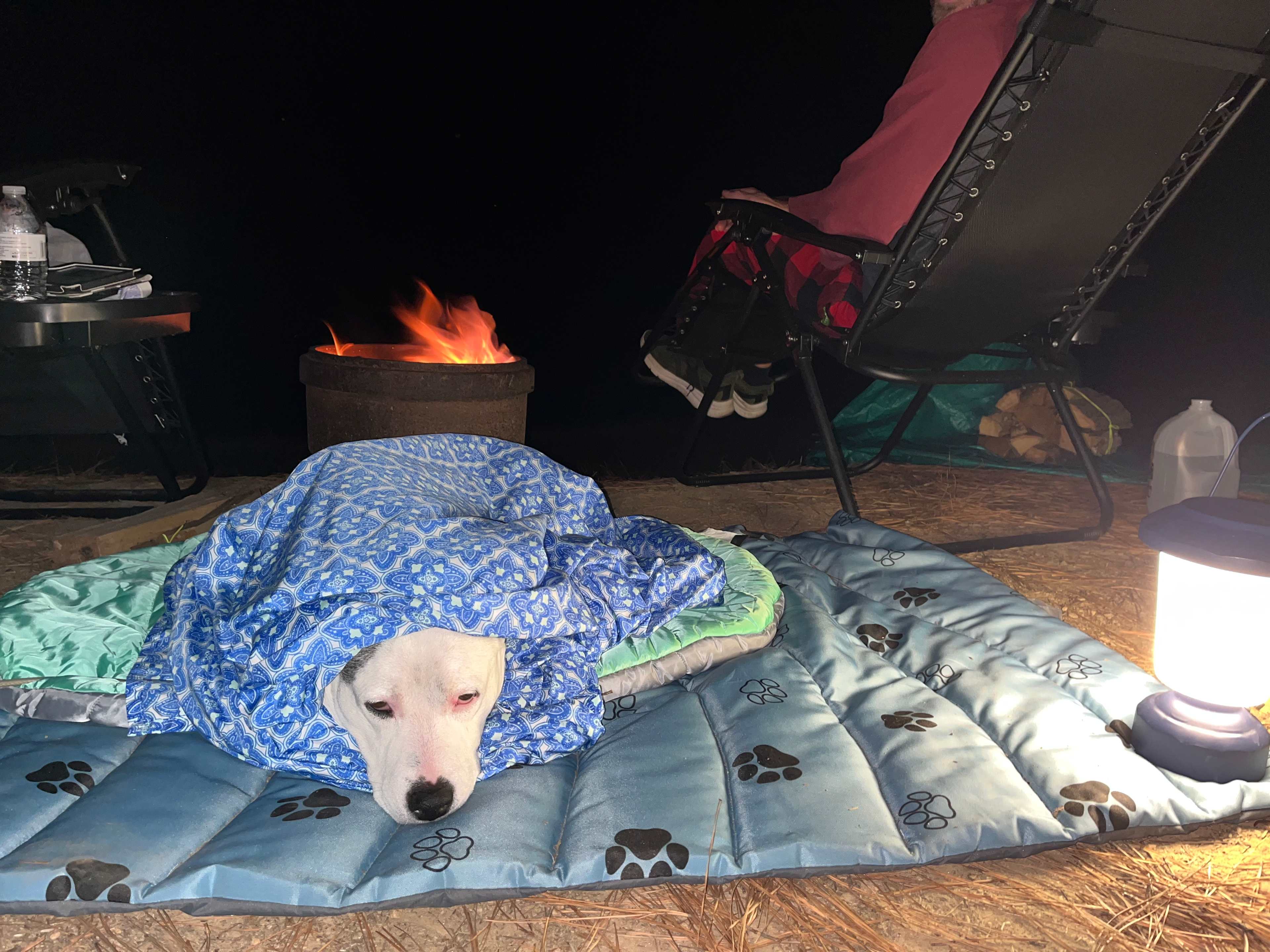 Raggie was ready to call it a night 