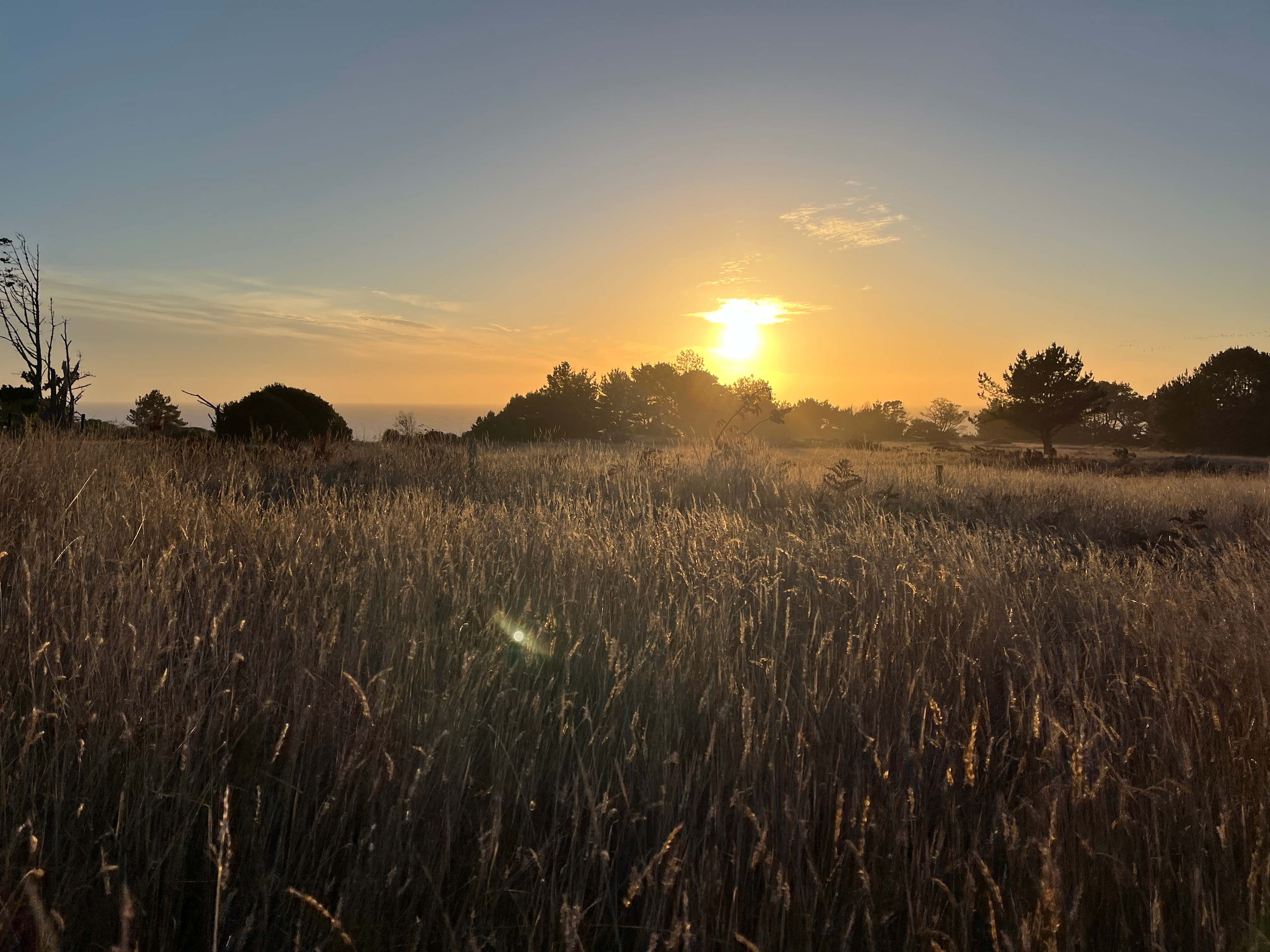 New Pine Grove Campground