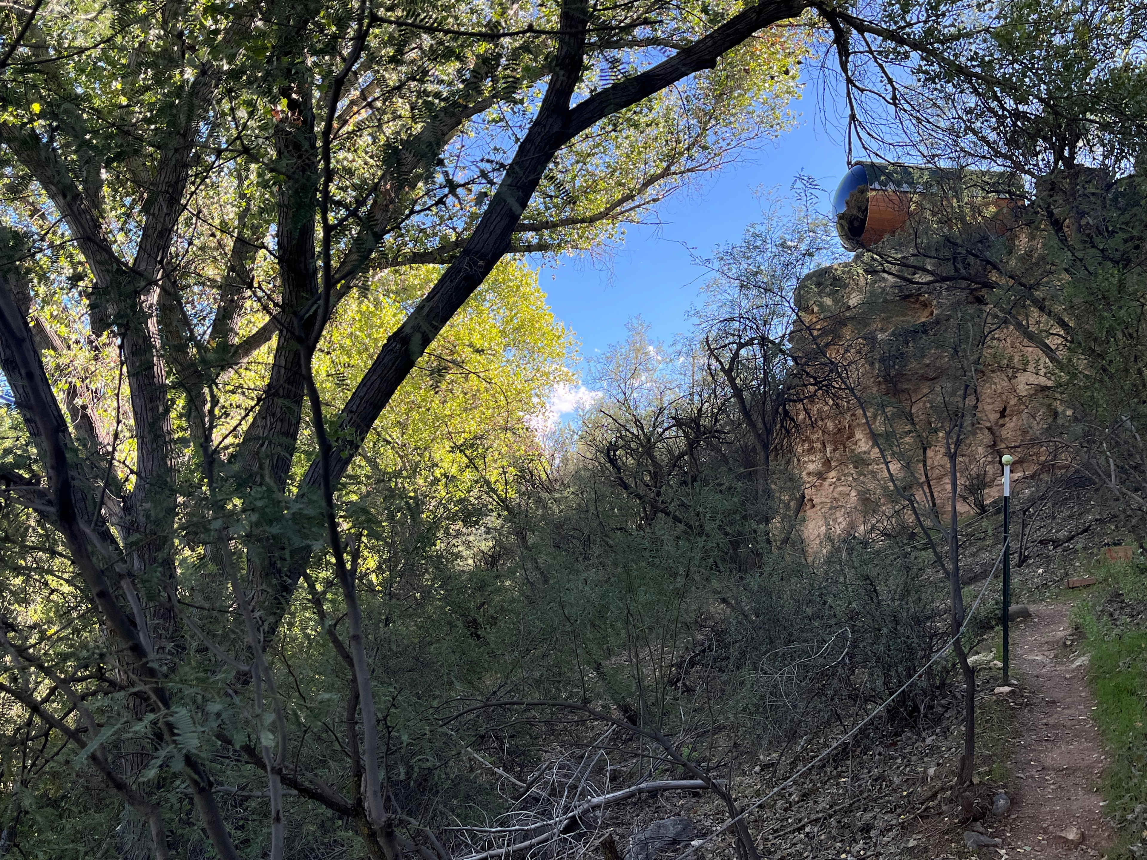 The view from the creek trail