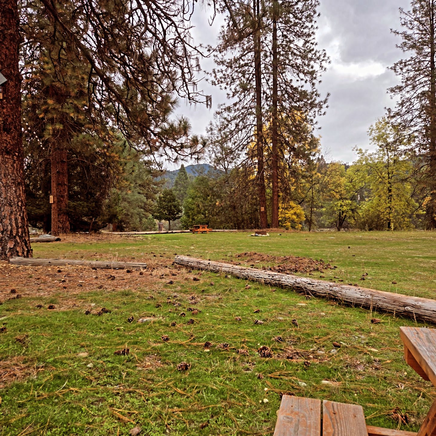 Old Lewiston Bridge RV Resort