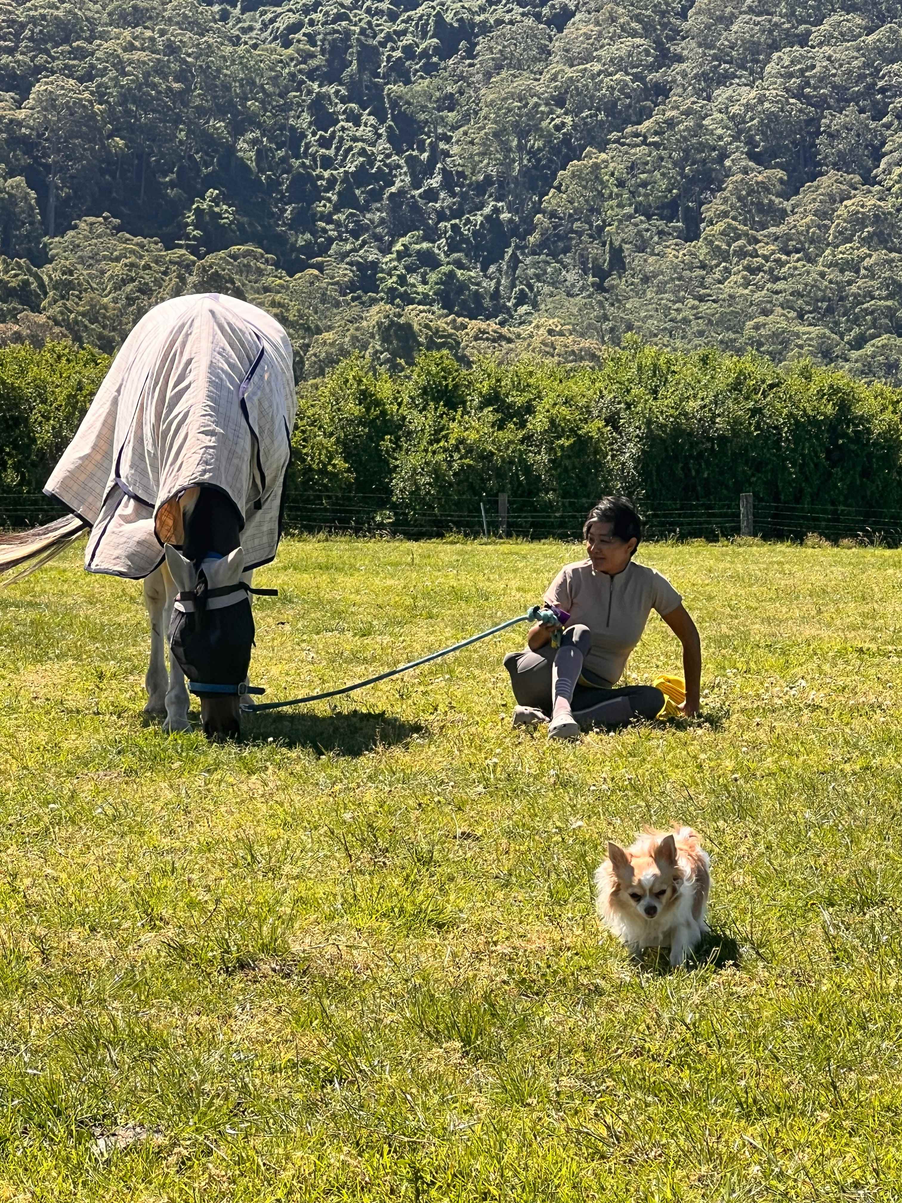 Misty Mountain Farm - Farm Stay