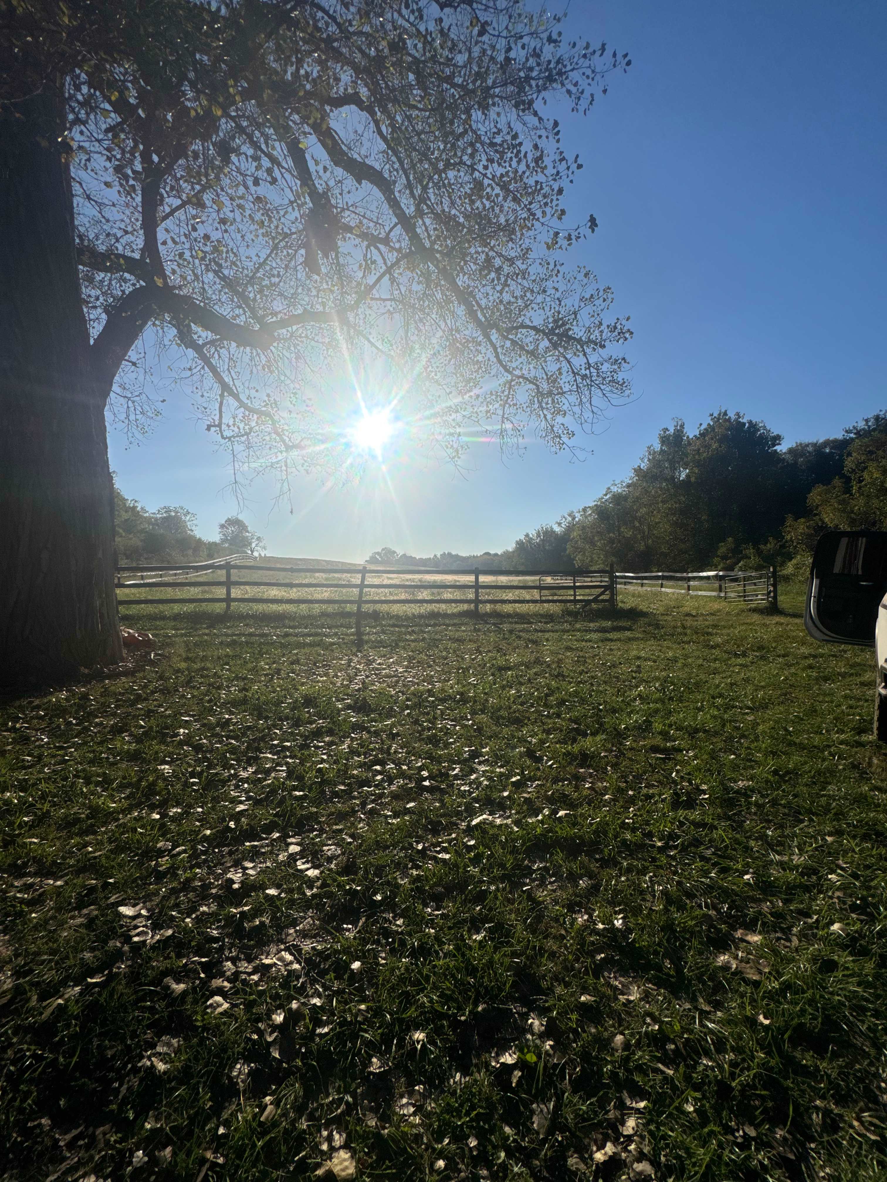 Triangle H Farm, LLC