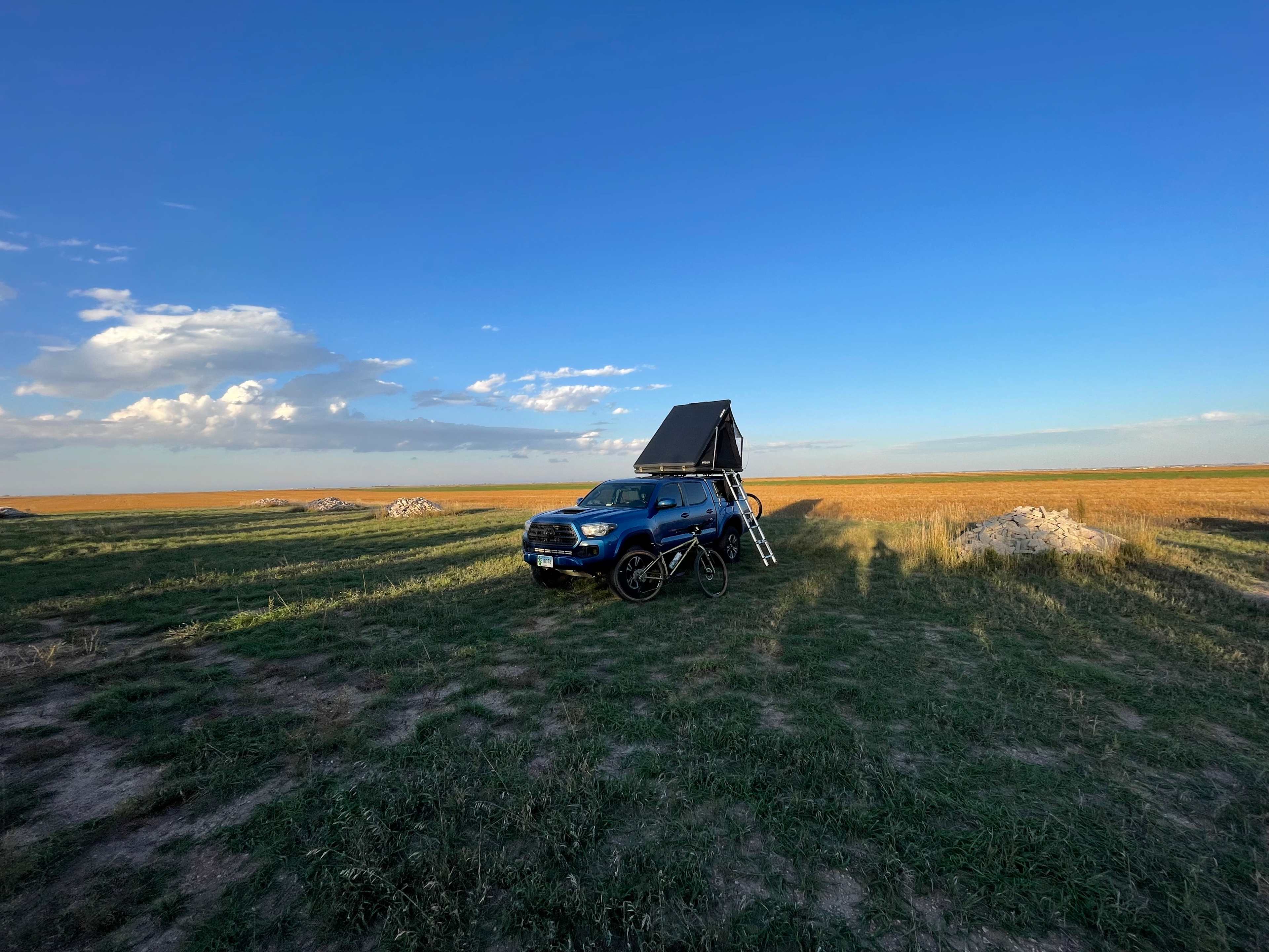 Golden hour at the site behind the trees