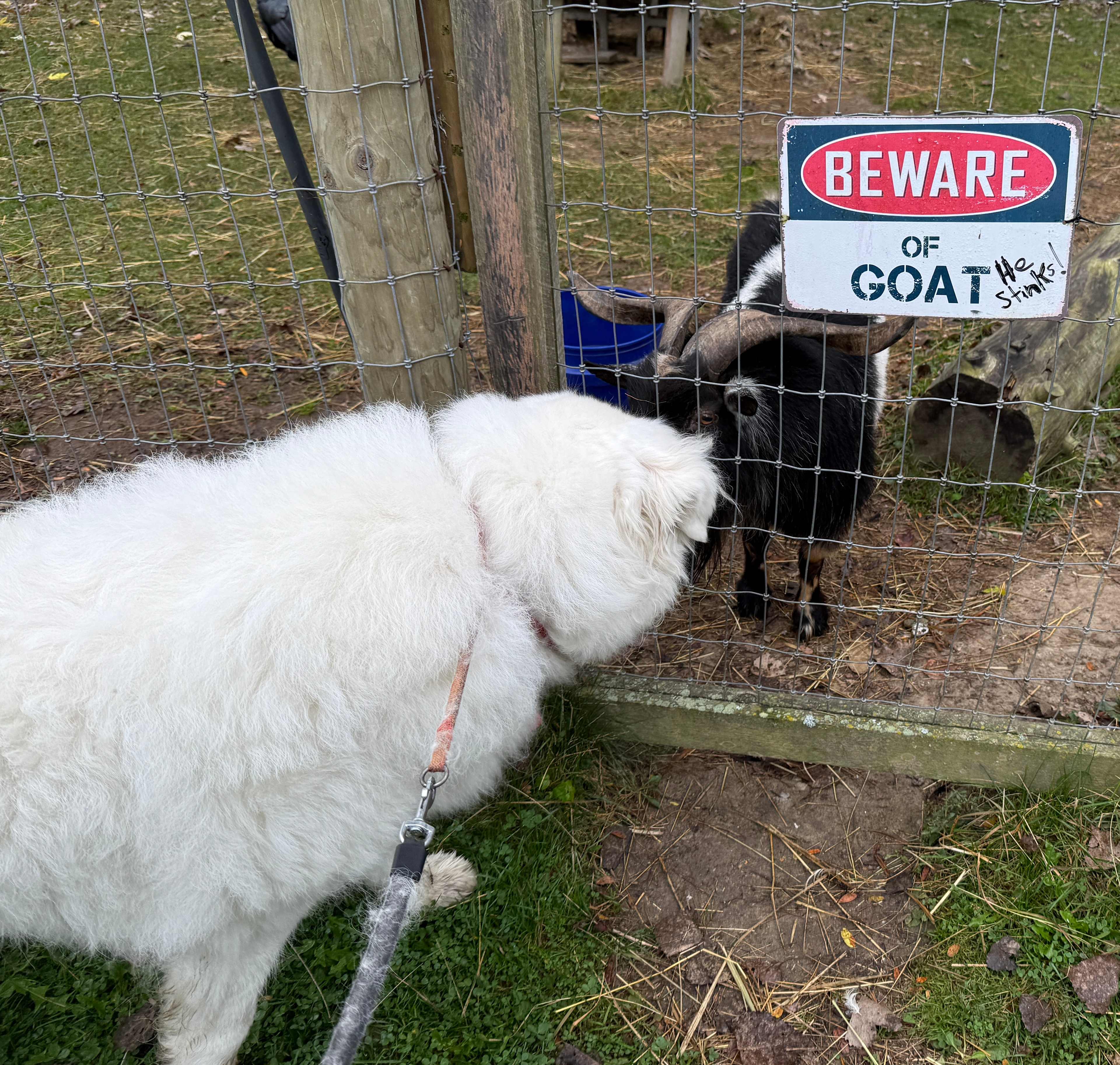 Goat Farm Hide-Away CVNP