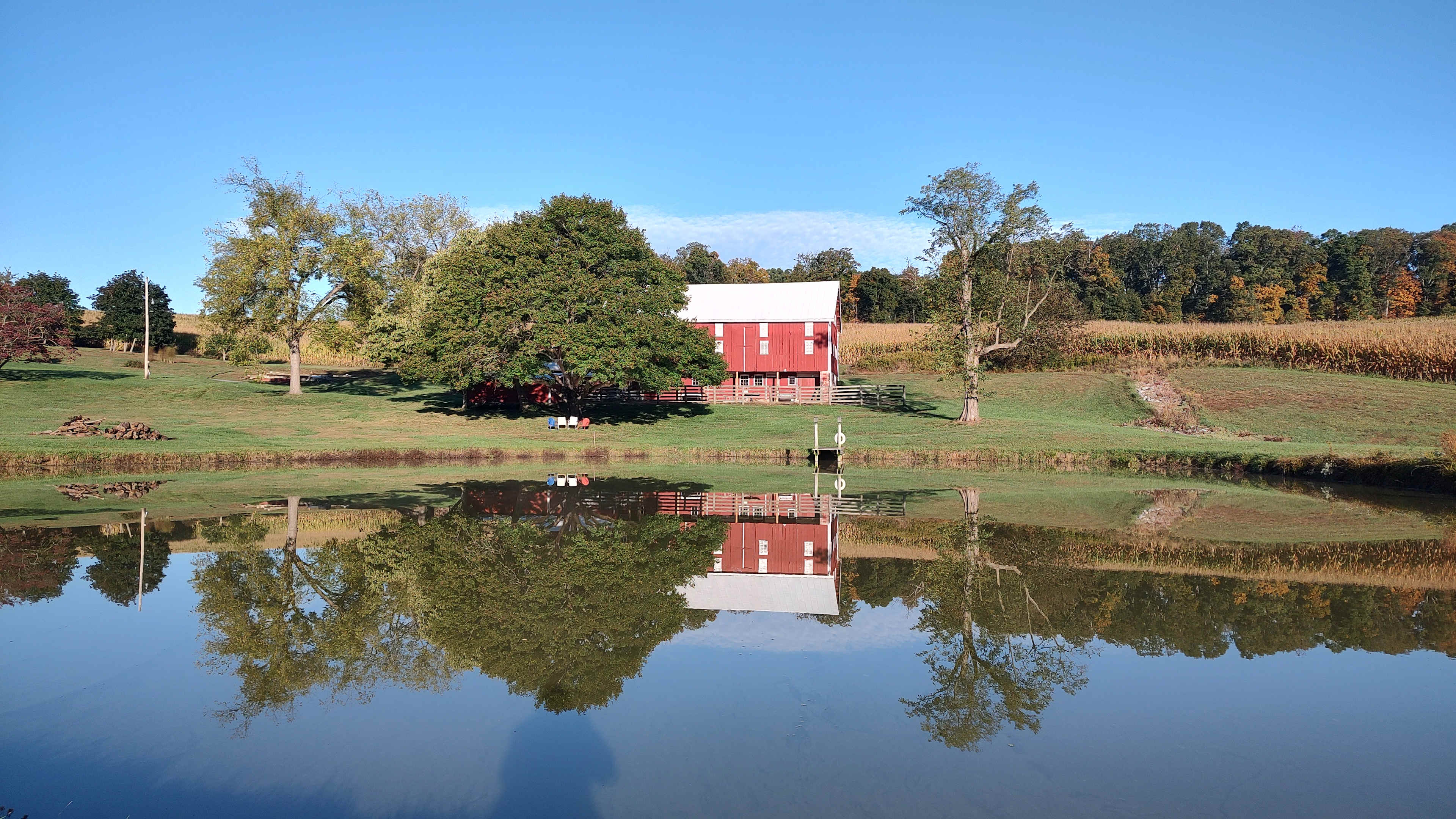 Views of woods, pond, and sunrise
