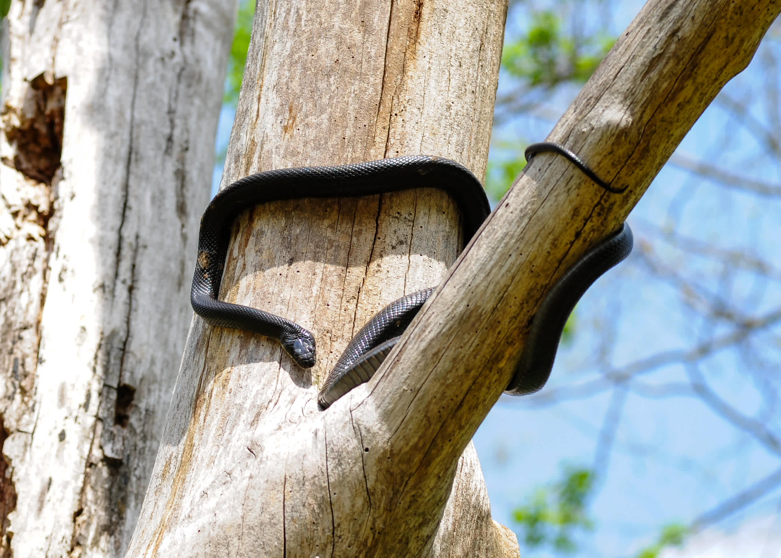 Private Paradise on Rivers Bend