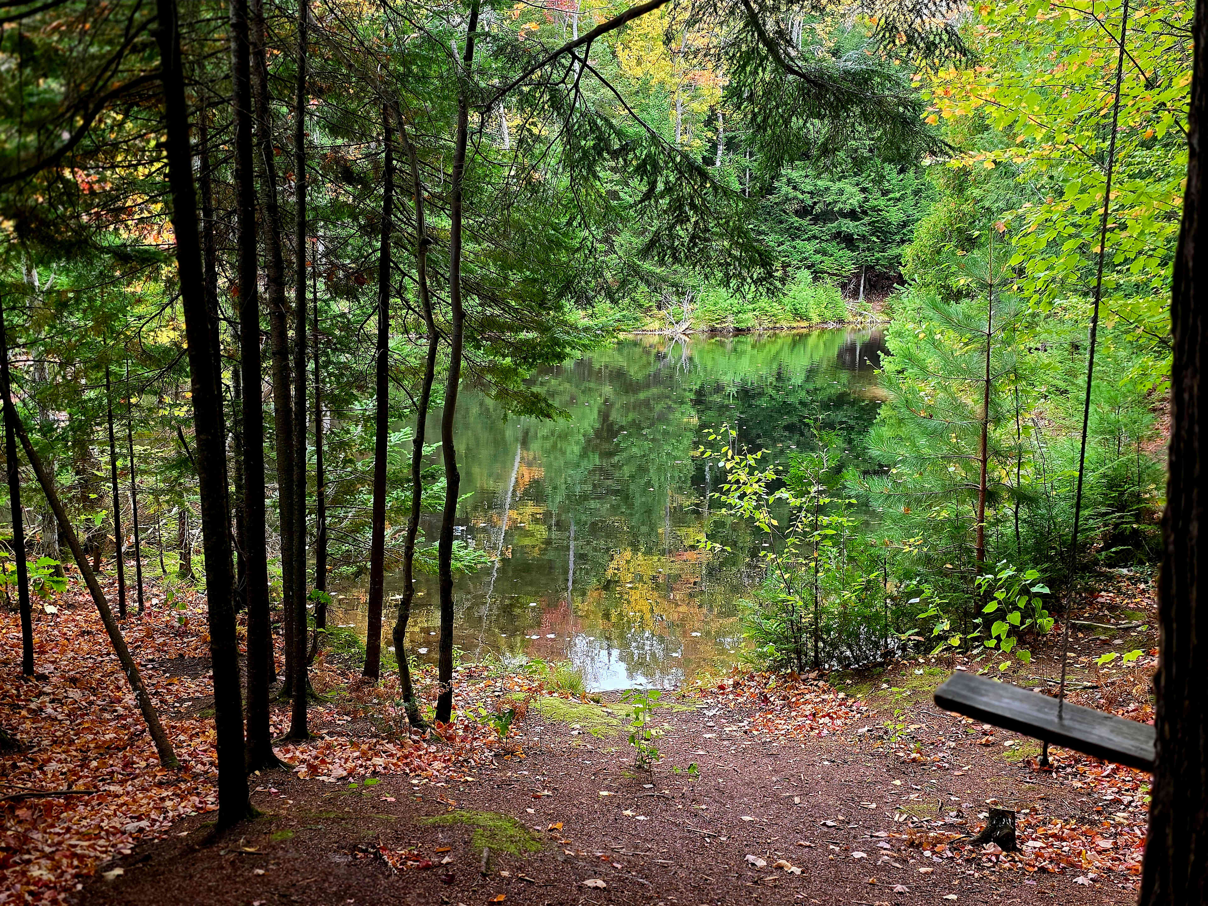 Pond View from Pond Cabin's porch