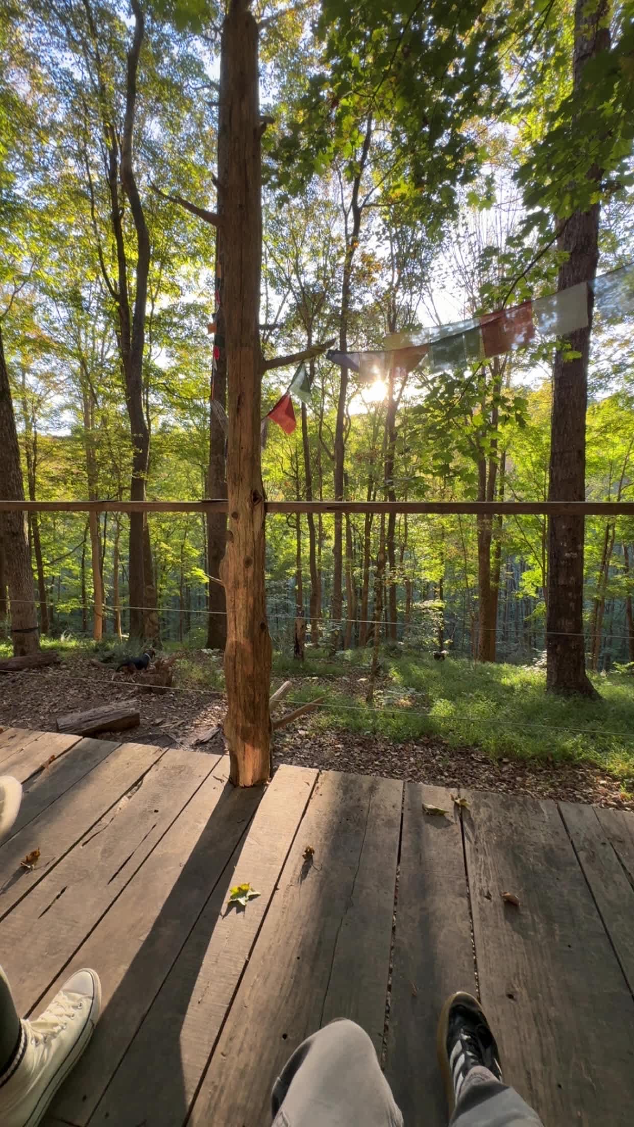 Beech Hollow Hideout