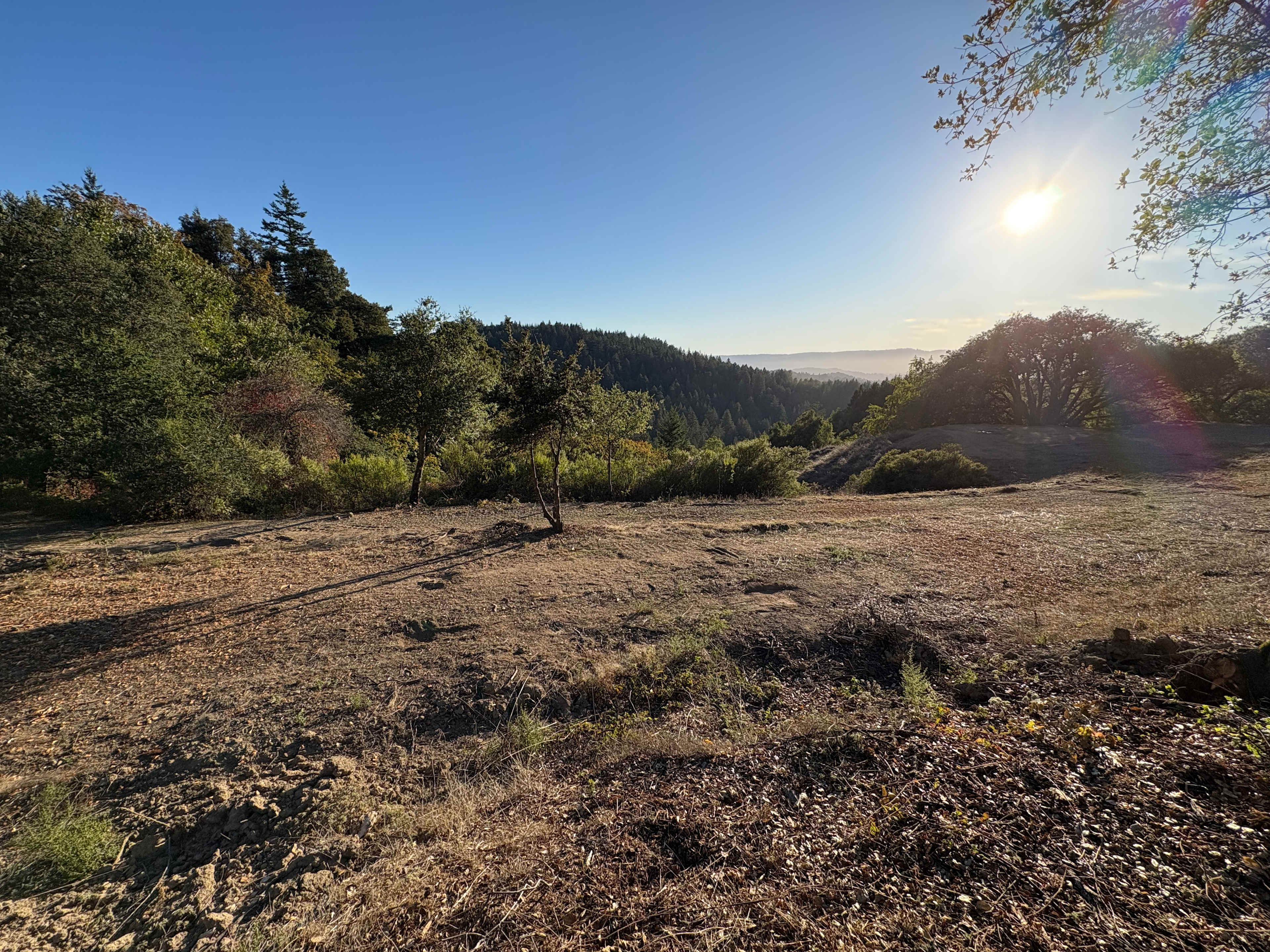 Quail Ridge Farm
