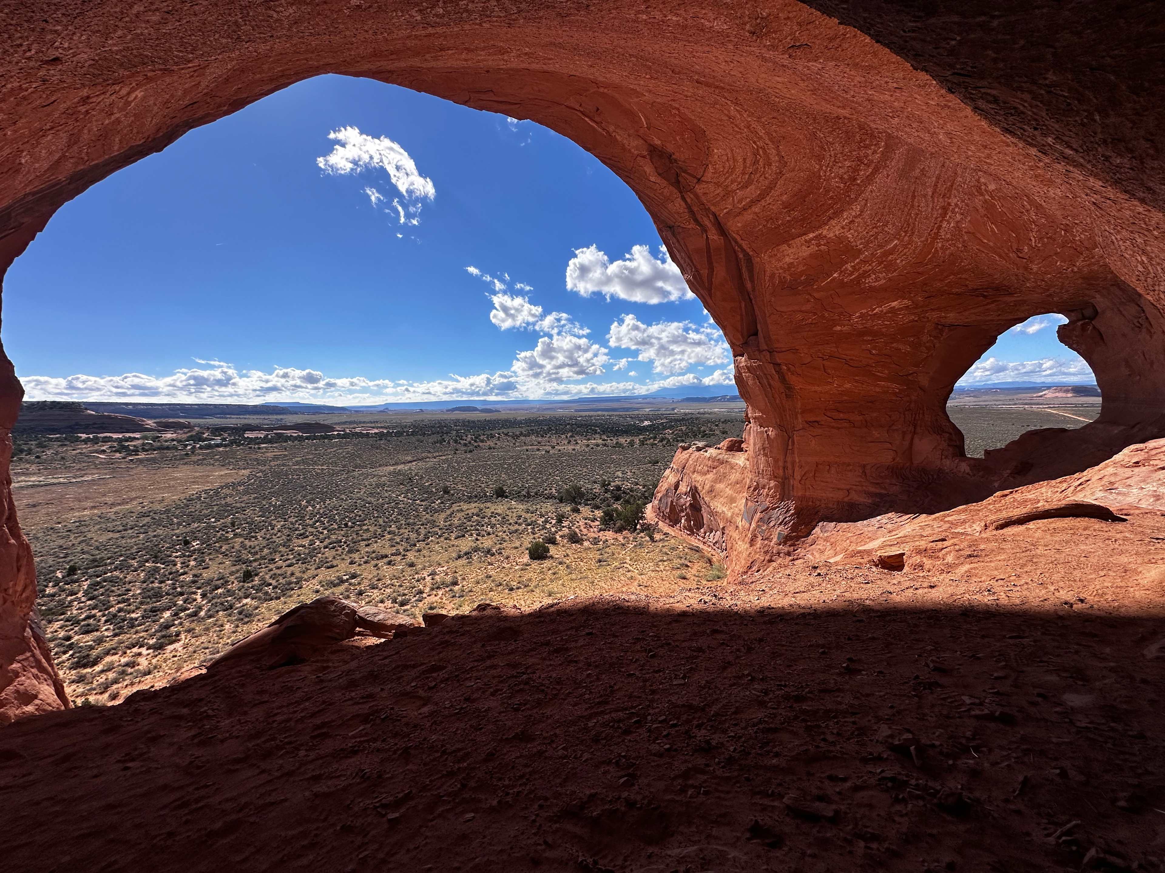 Where The Wild Things Camp