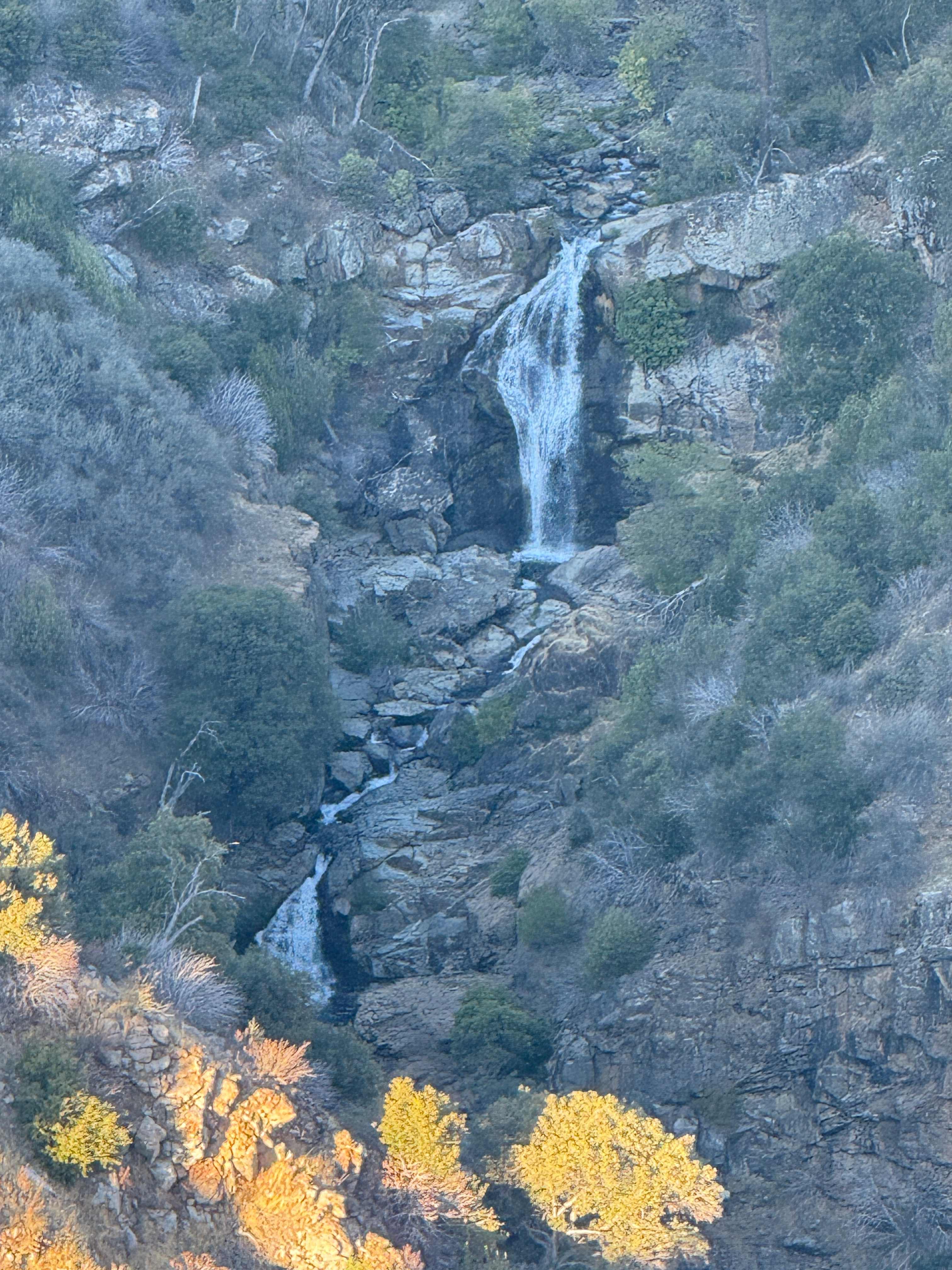 Yosemite Colfax Spring