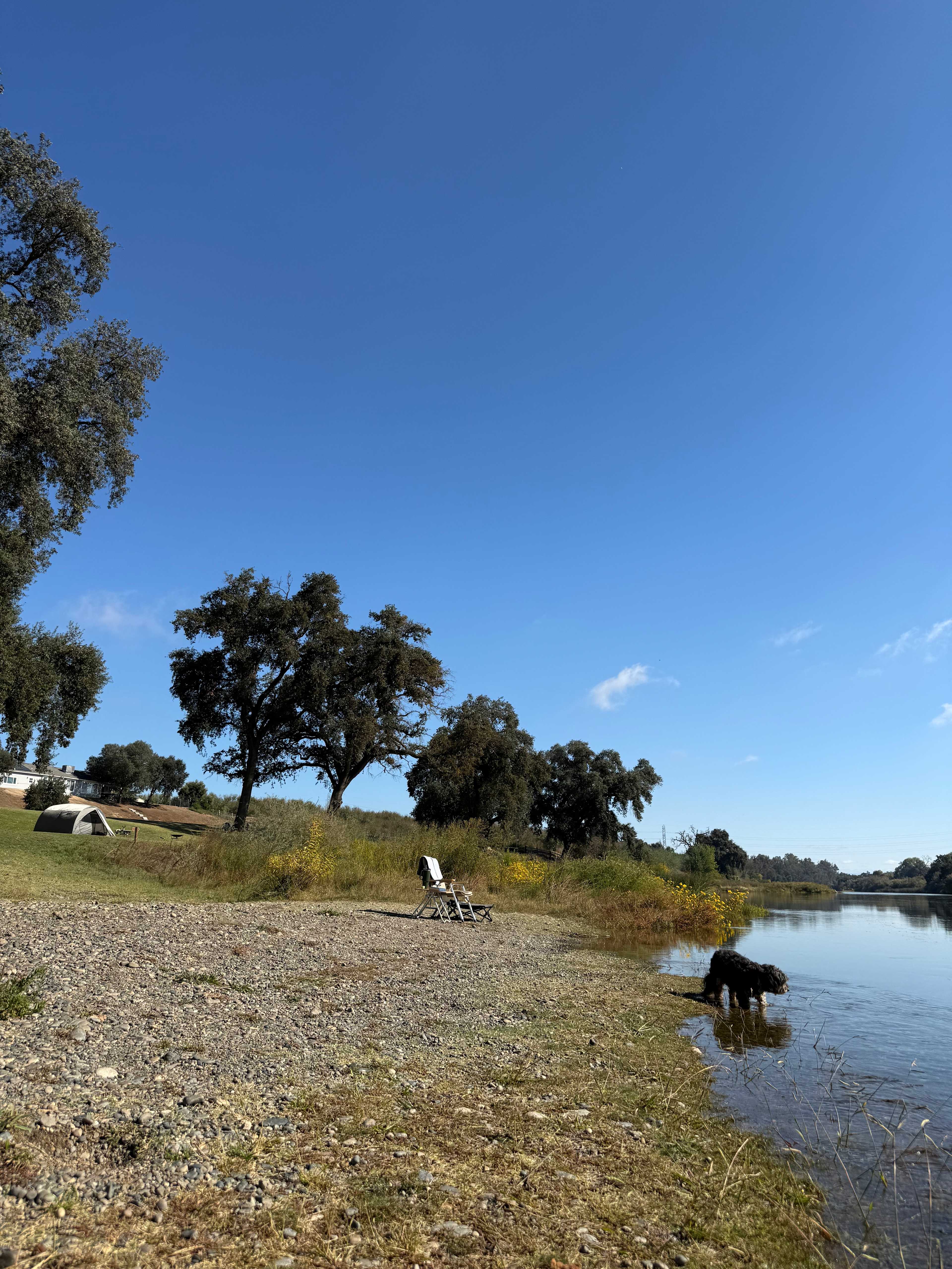 Common beach area with shallow water