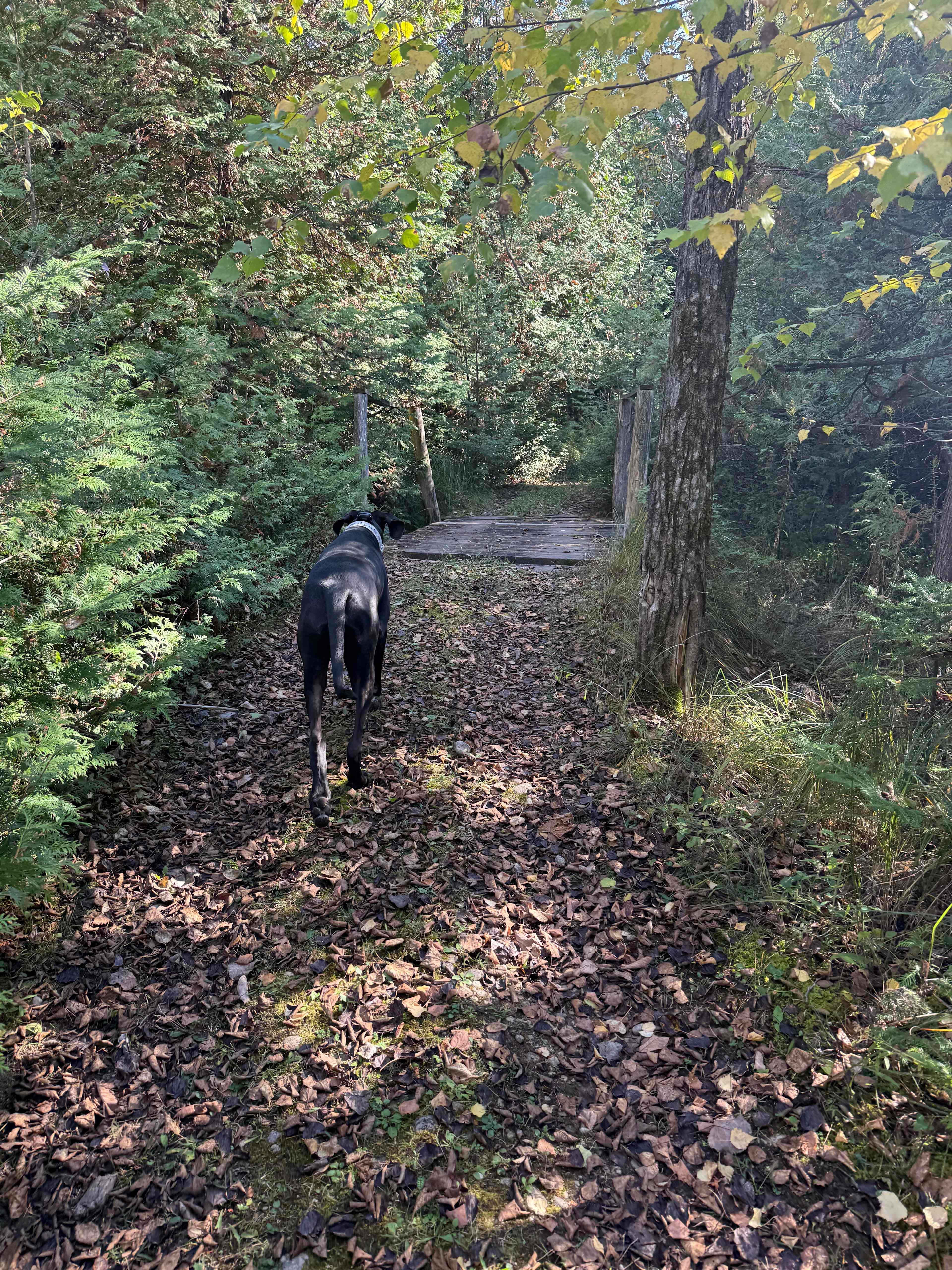 Edges Sideroad Springs
