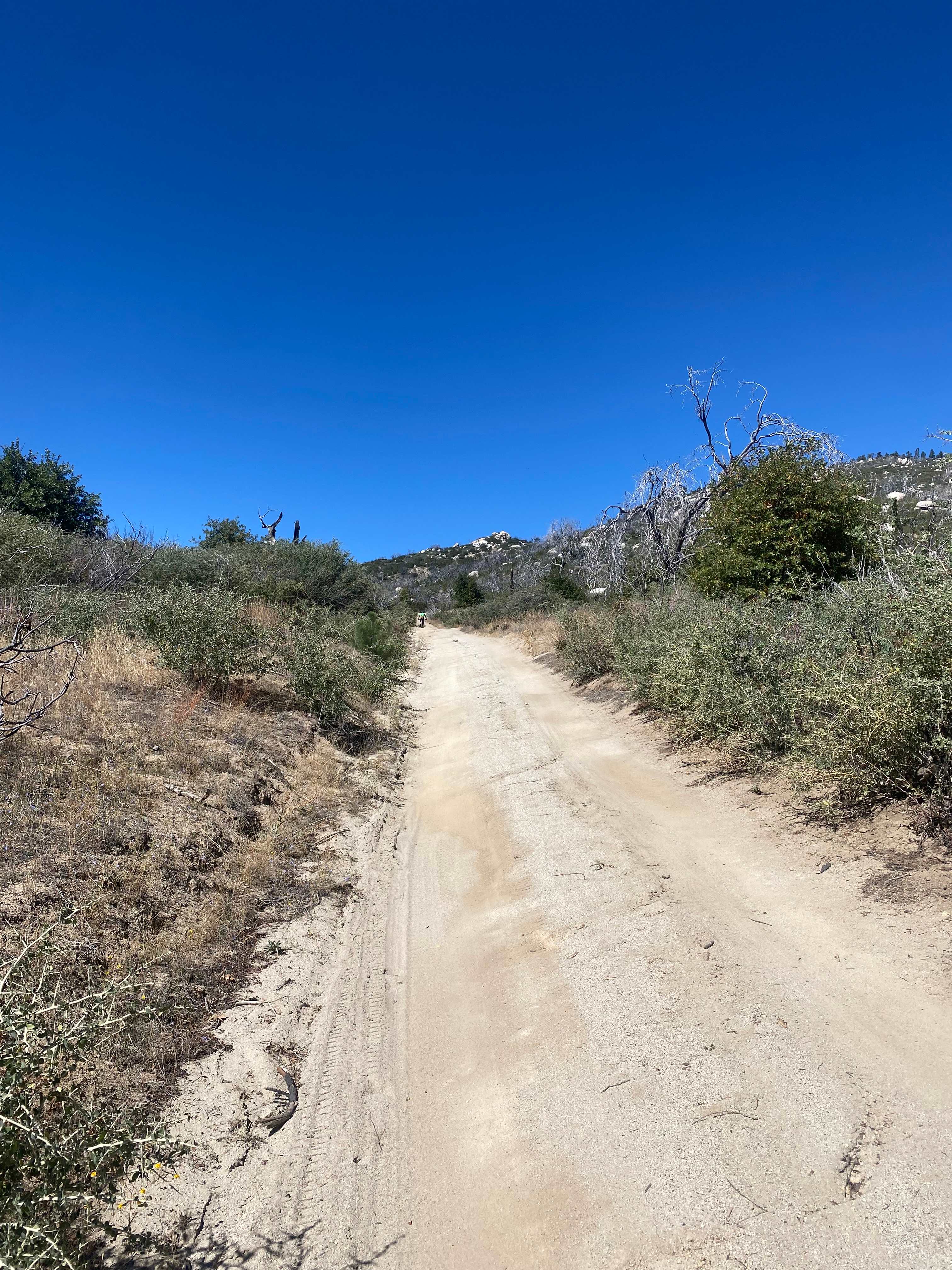 Lots of beautiful mountain biking trails nearby! This is my co-camper riding WAY ahead of me lol