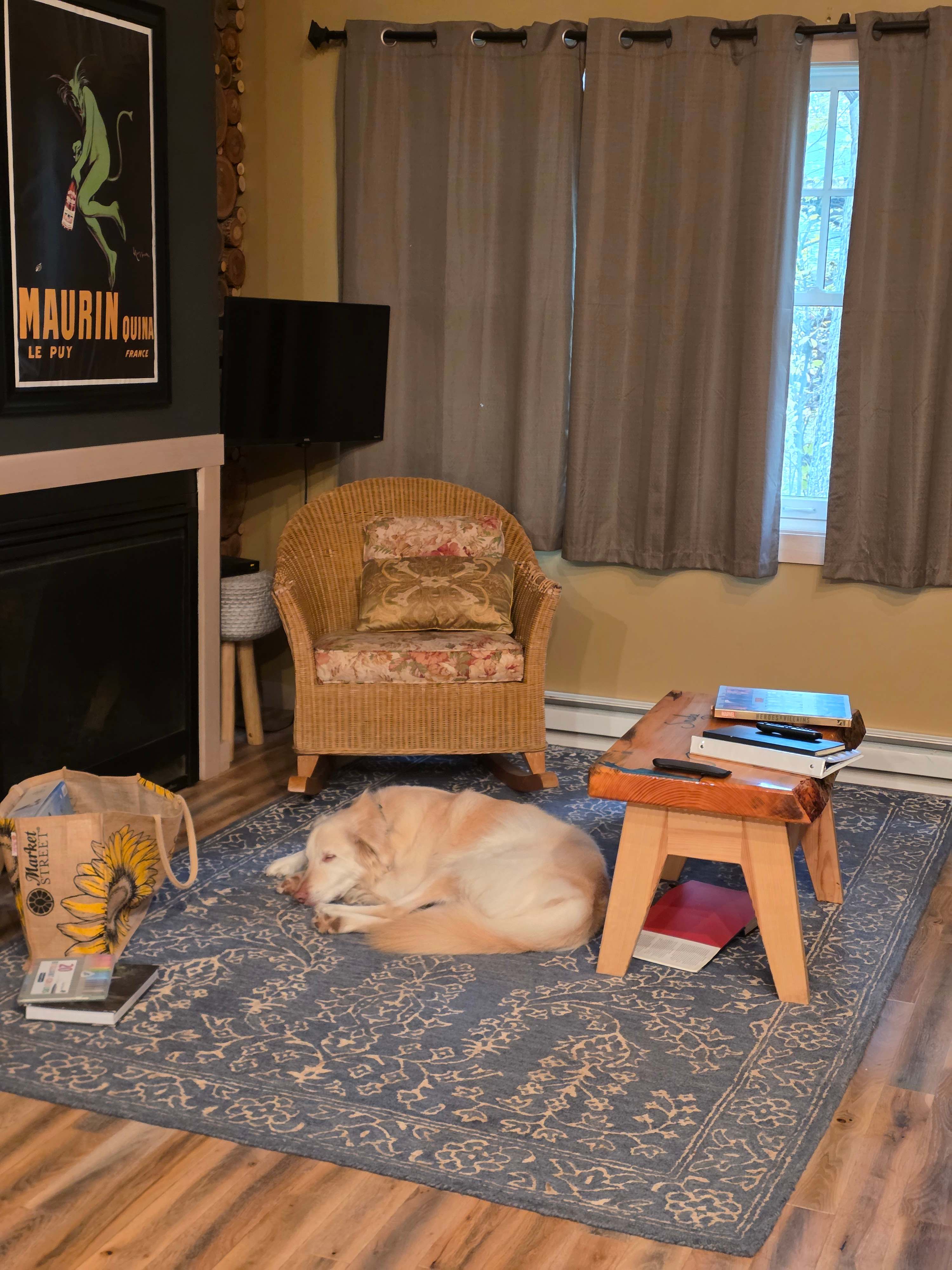 Naps in front of the fireplace!