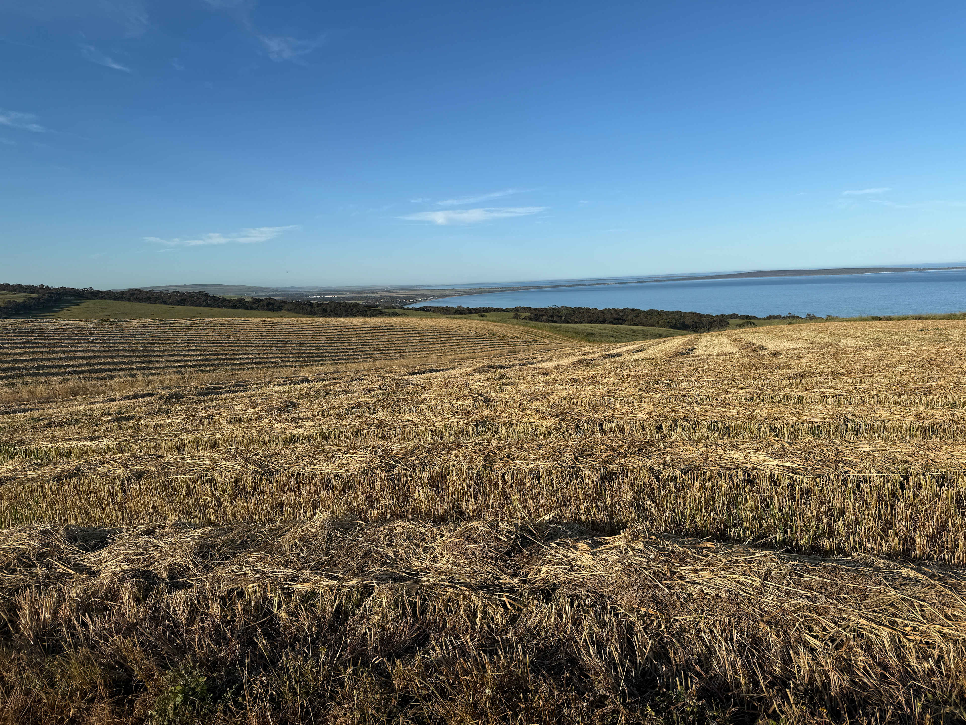 Tiatukia Farm Campsite by the Sea