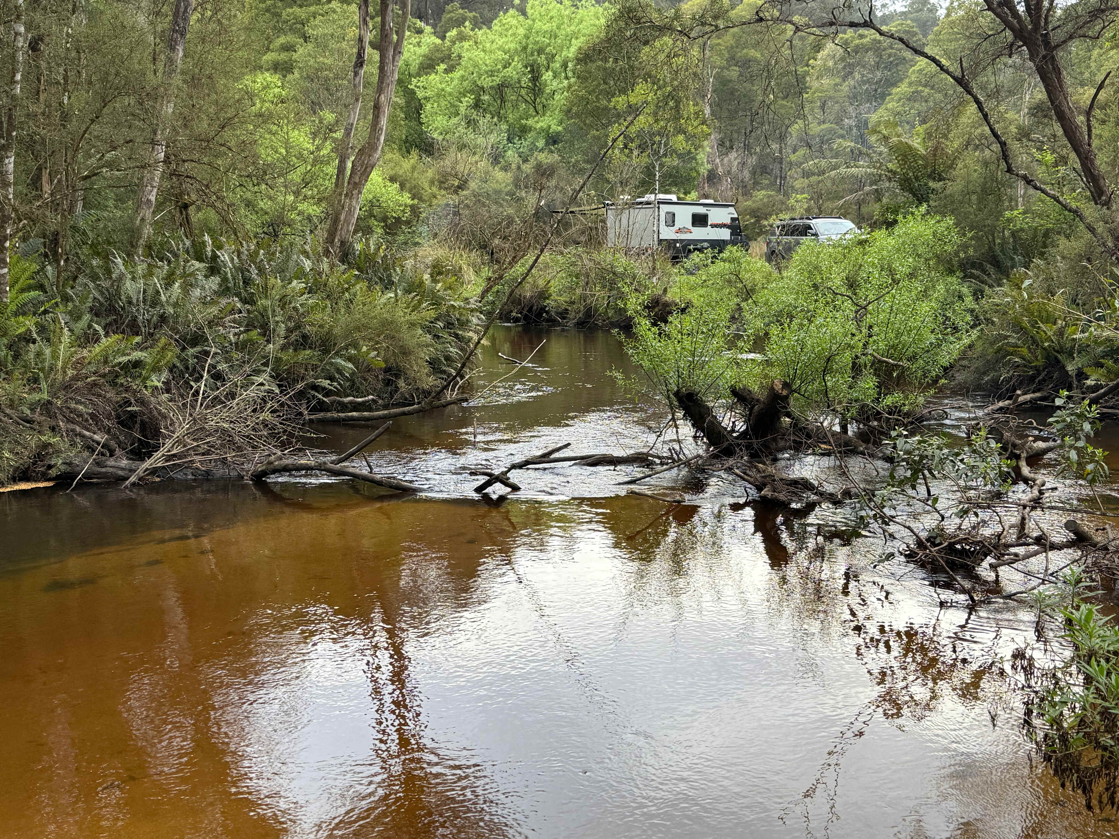 Organic Farm & Riverside Camping