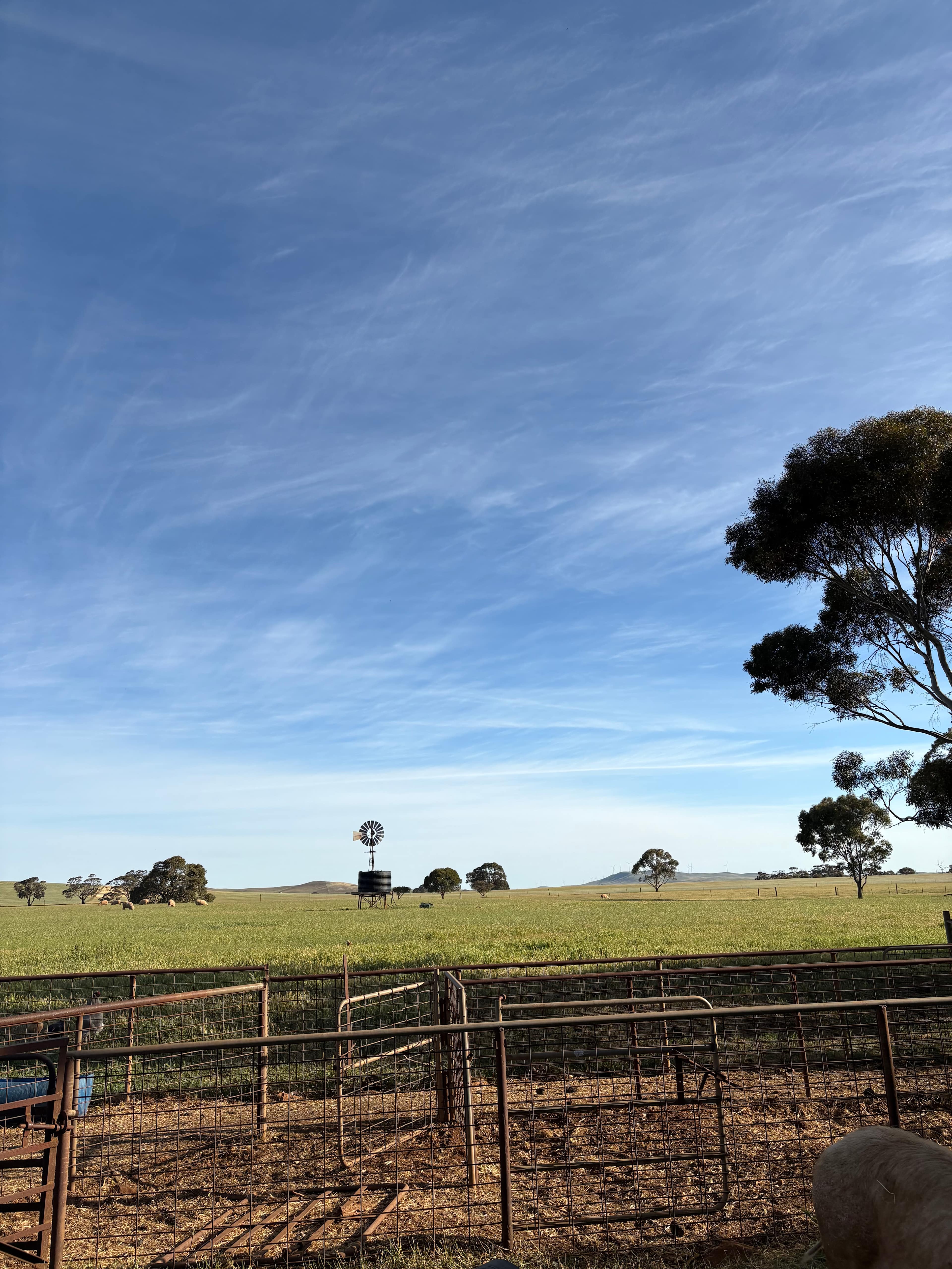 Cartapo Creek - Farm Stay