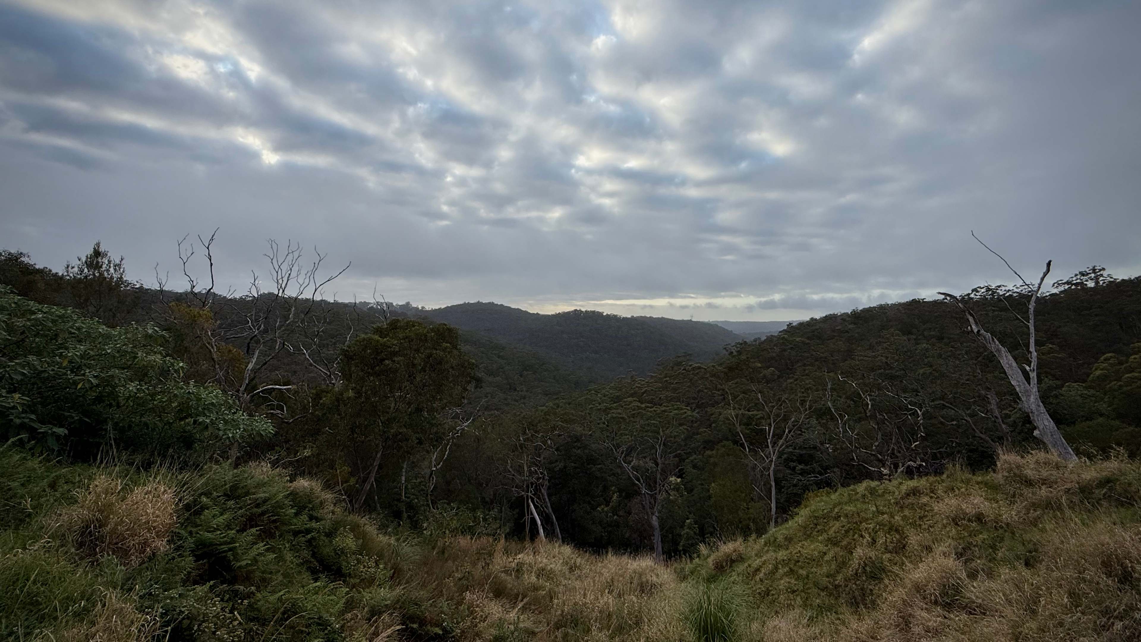 Canoelands Valley Camping