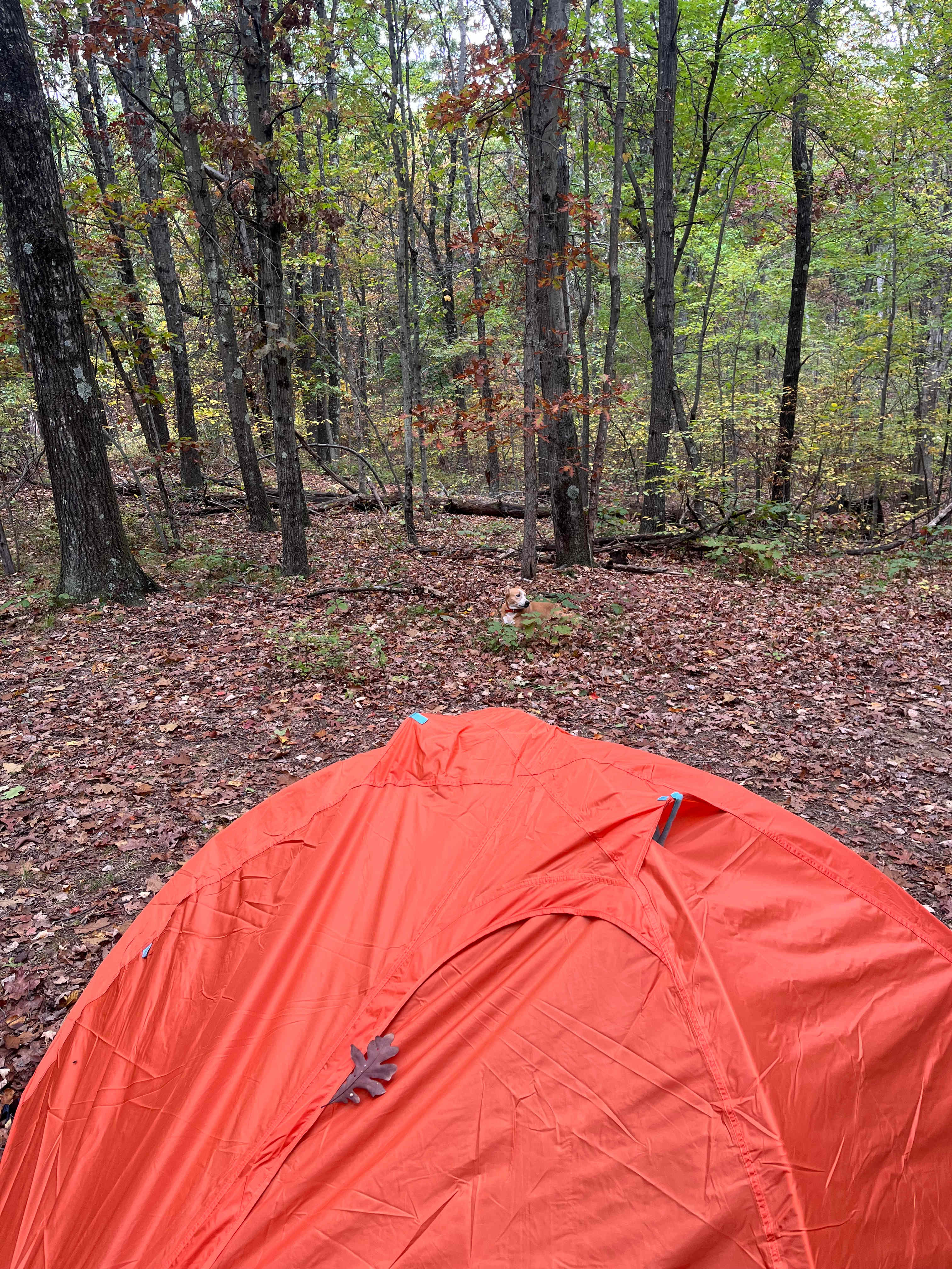 Issac’s Endless Acres