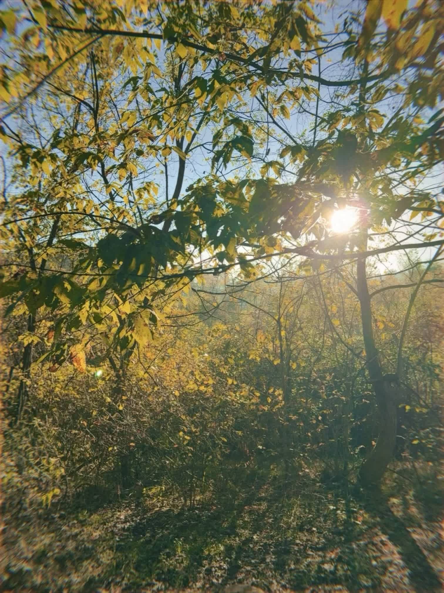 Birdhouse Farm Camp And Cabin