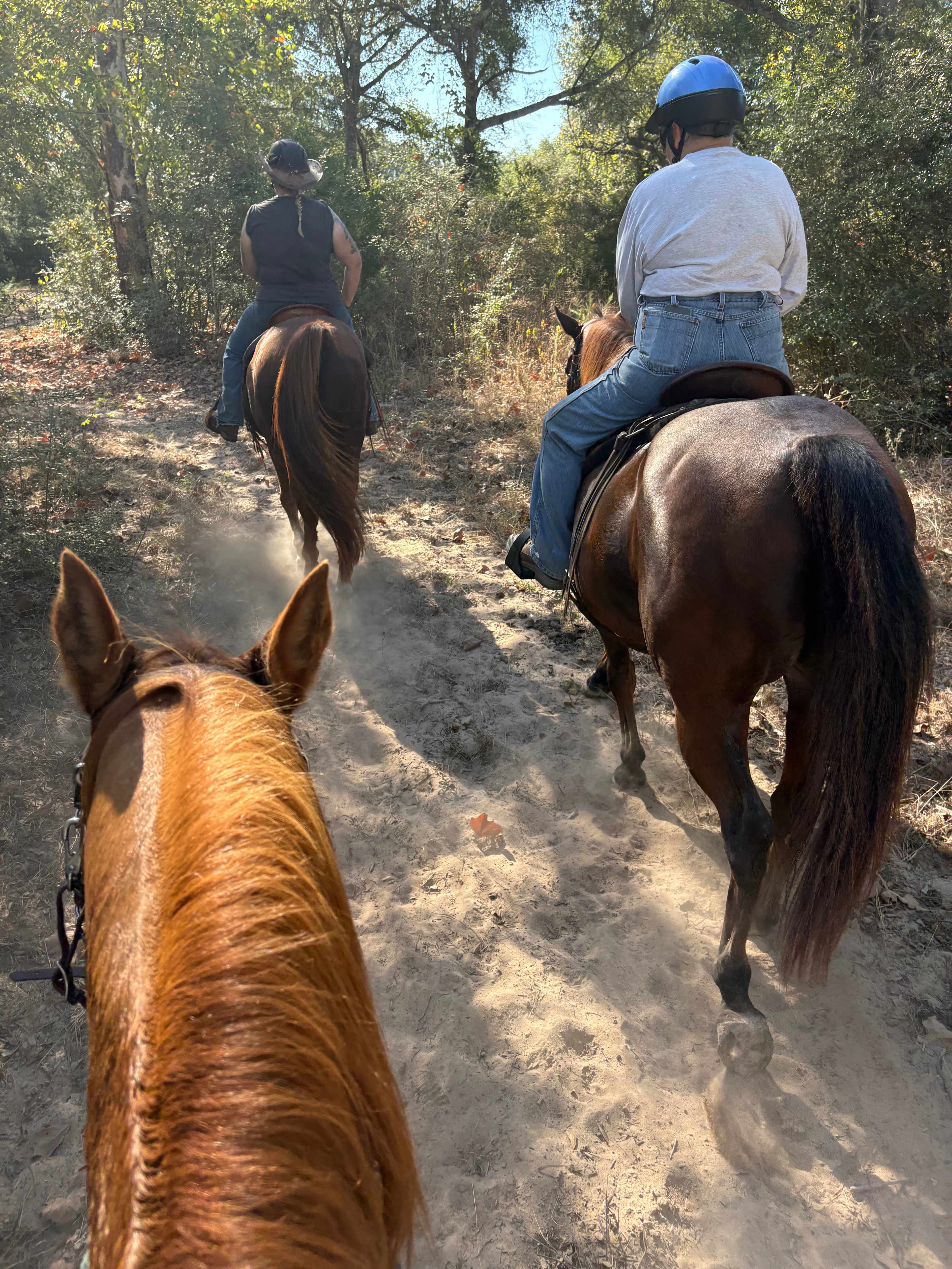 KW Equine Sanctuary and Ranch