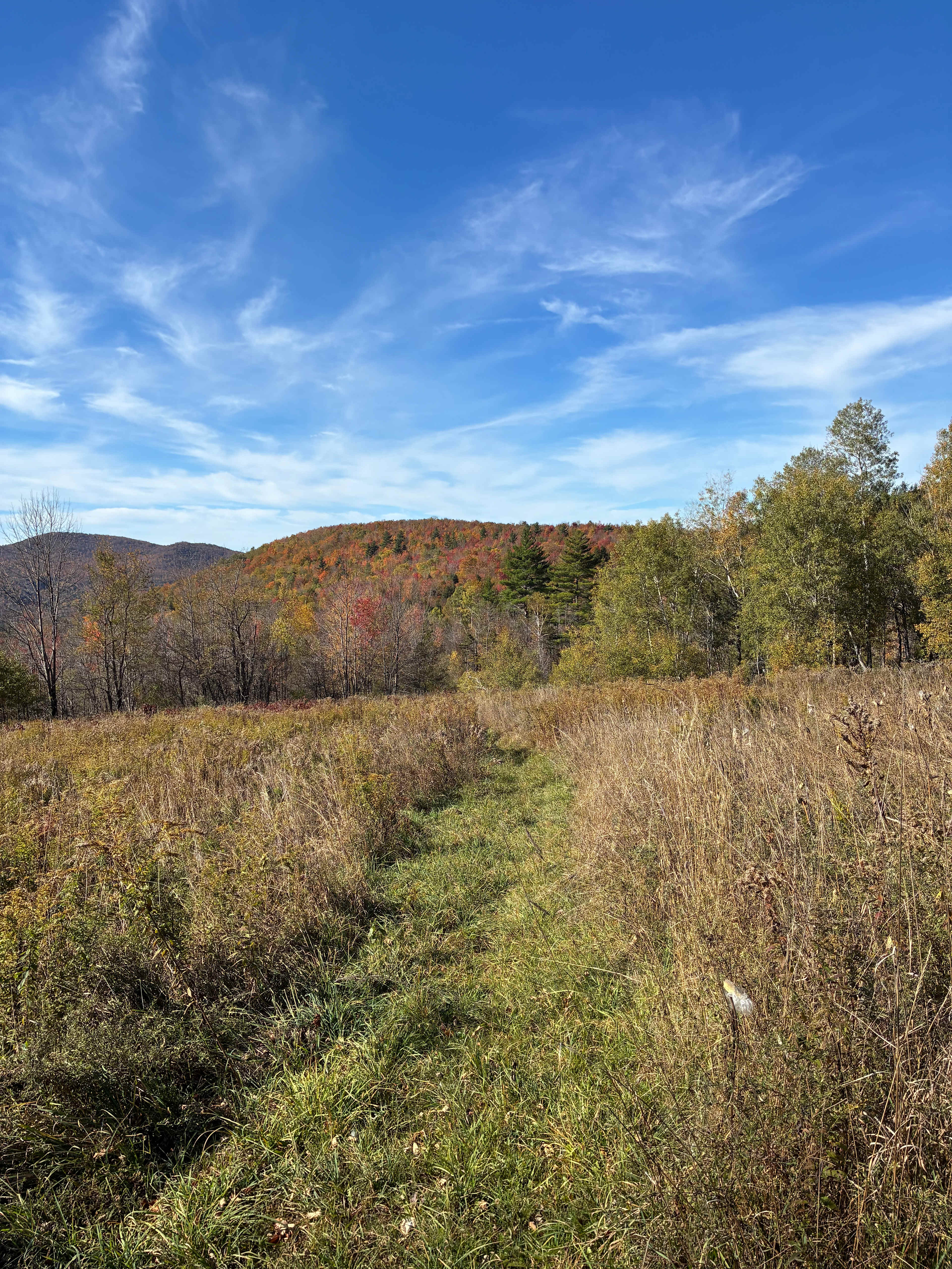 HOWL Women & Gender Justice Retreat