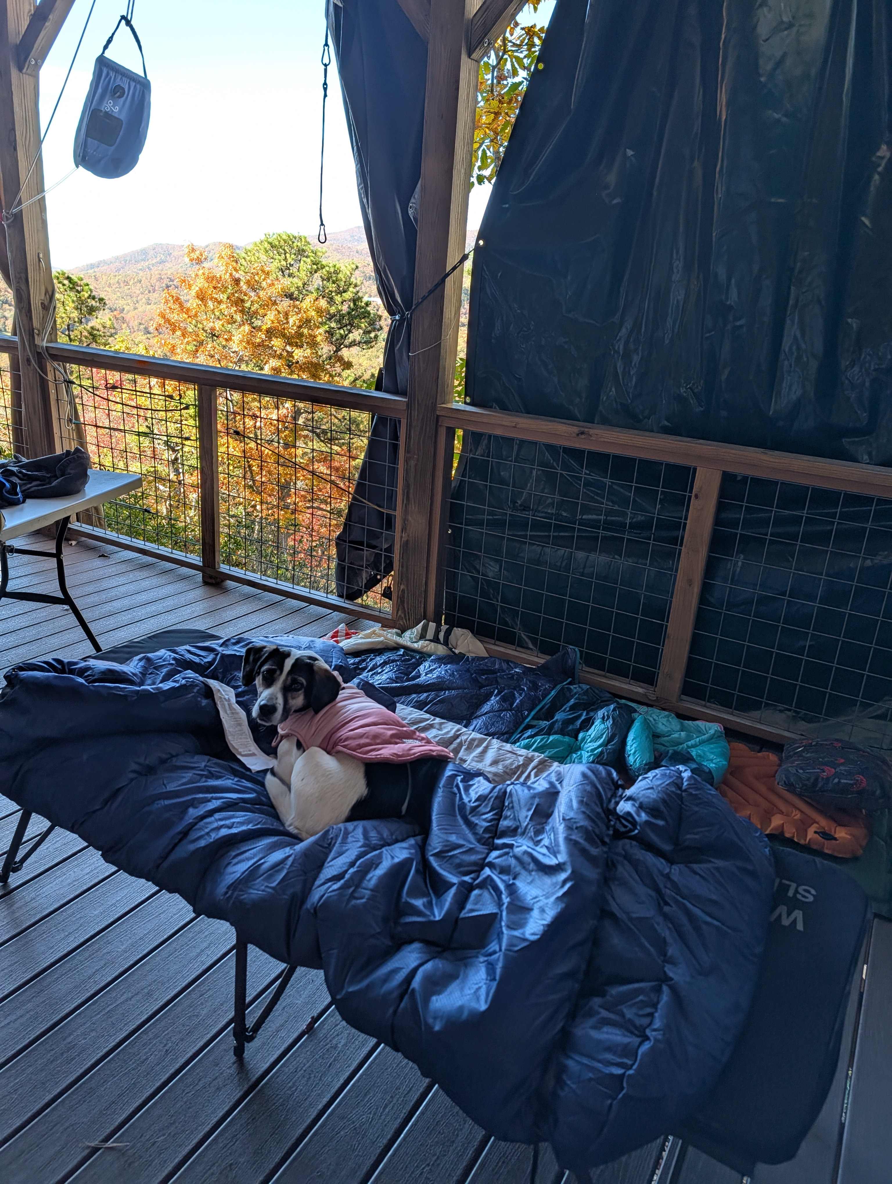 Above the Fray Glamping, Black Mtn.