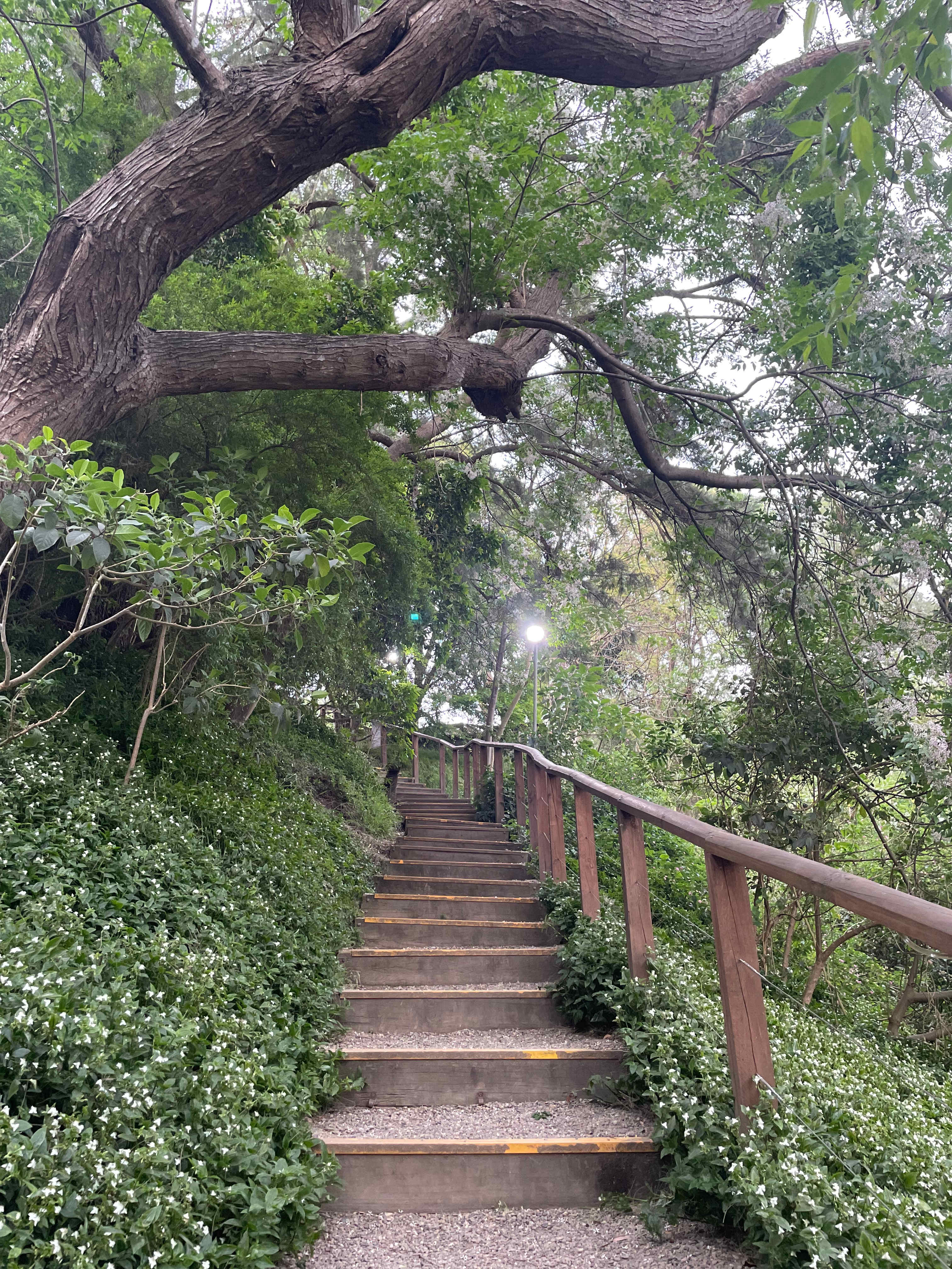 Grady's Riverside Retreat