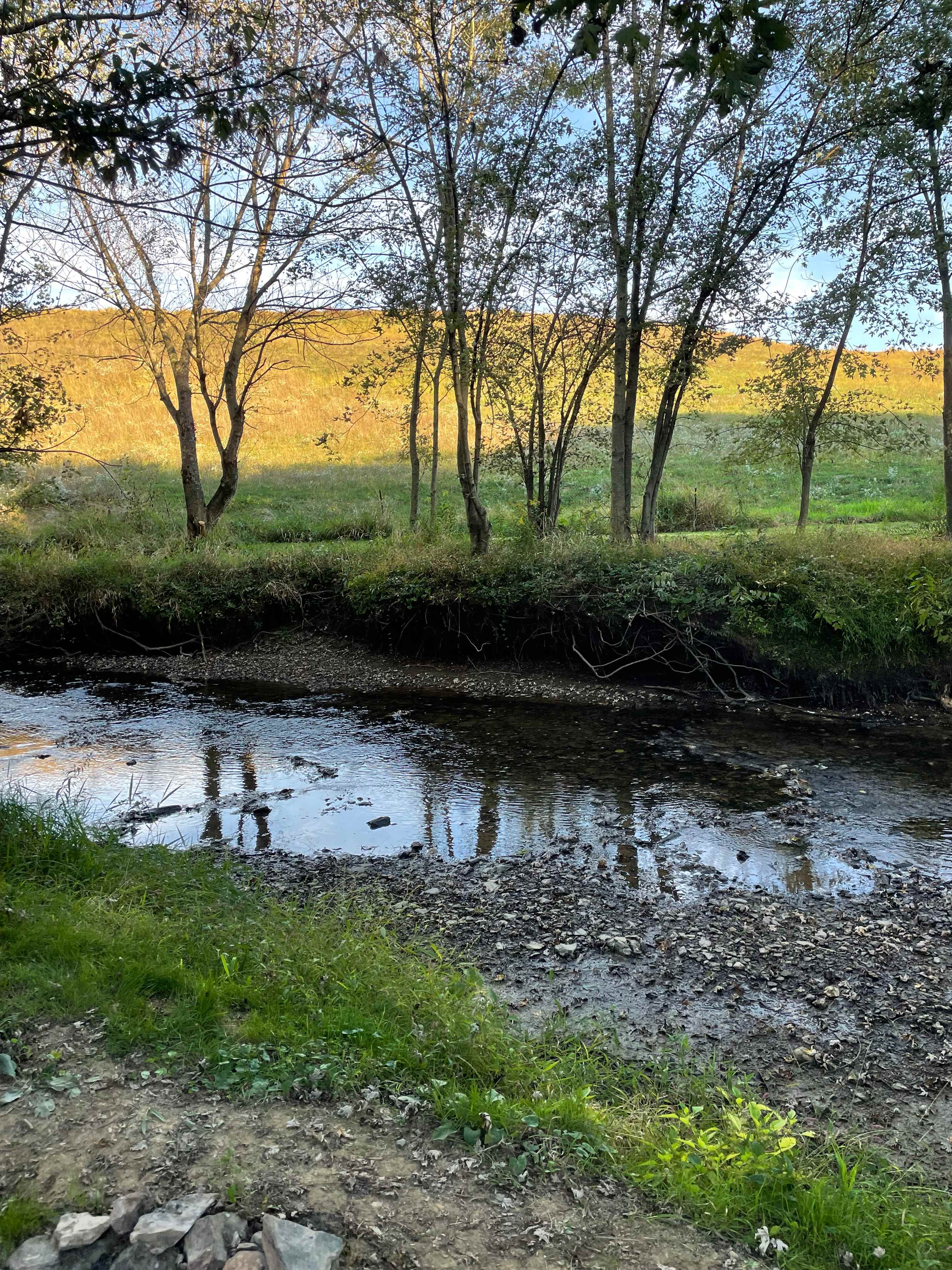 Shambala at Mystic Hollow