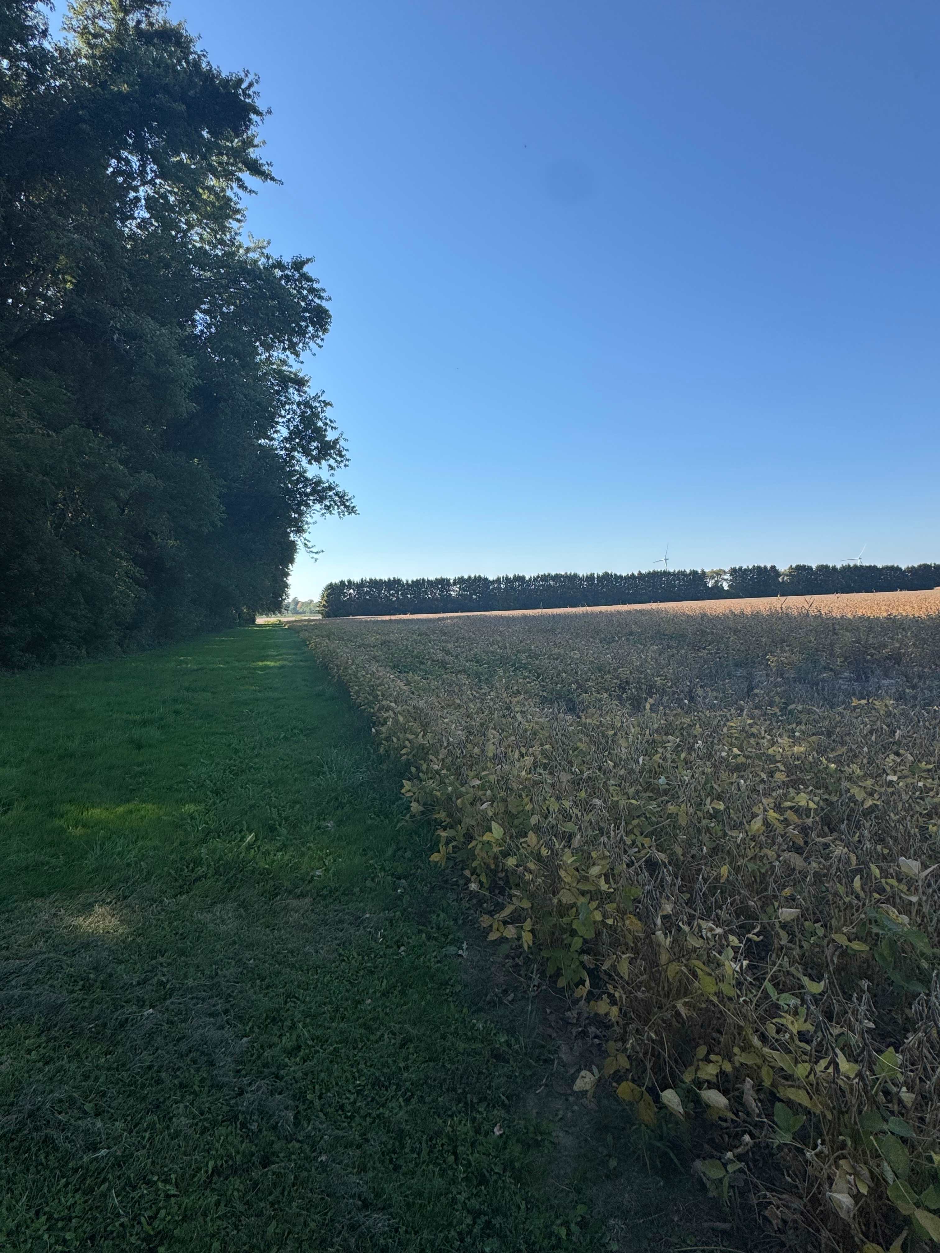 Bridgewood Farms in Wine Country